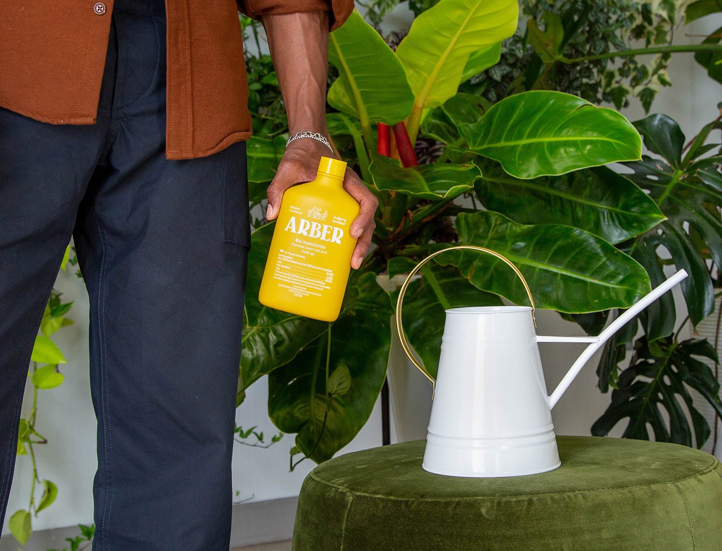 Someone holds a yellow bottle of Arber Organic Bio Insecticide beside a white watering can on a green velvet stool, surrounded by lush plants—a great natural solution for controlling soil-dwelling pests.