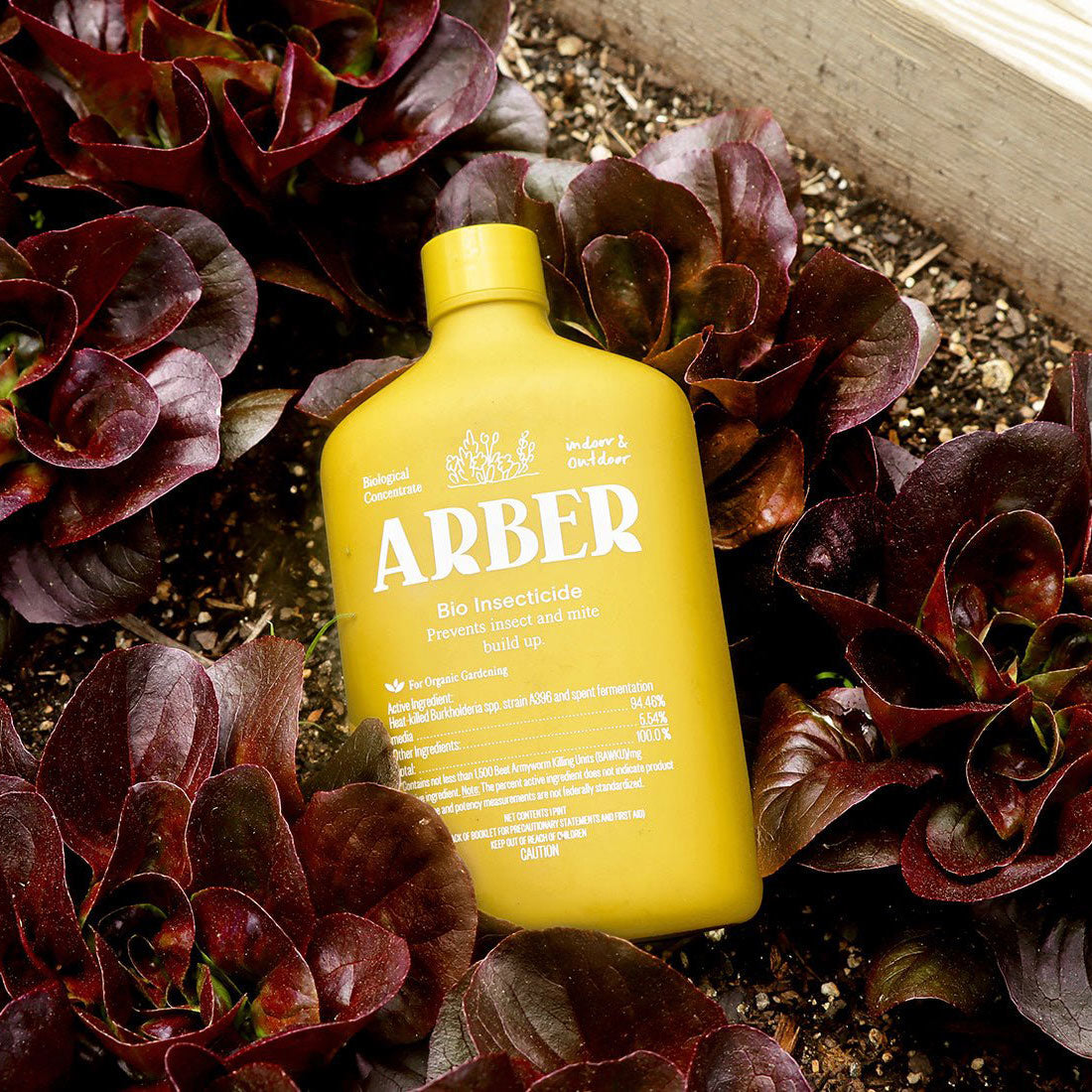 A yellow bottle of Arber Organic Bio Insecticide rests on soil among dark red leafy plants in a garden bed, providing natural pest control for soil pests. The label features white text and plant illustrations.