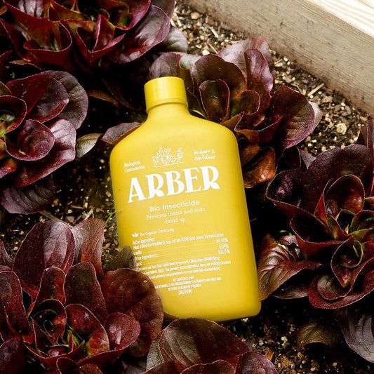 A yellow bottle of Arber Organic Bio Insecticide rests on soil among dark red leafy plants in a garden bed, providing natural pest control for soil pests. The label features white text and plant illustrations.