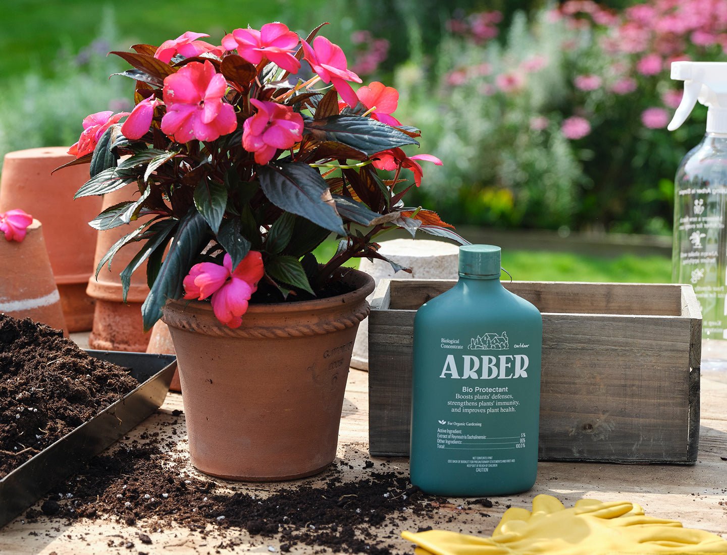 A potted plant with vibrant pink flowers sits on a garden table with soil, gardening gloves, pots, a spray bottle, and Arber Organic Bio Protectant—an organic formula for plant disease prevention. A wooden crate and green garden background are visible.