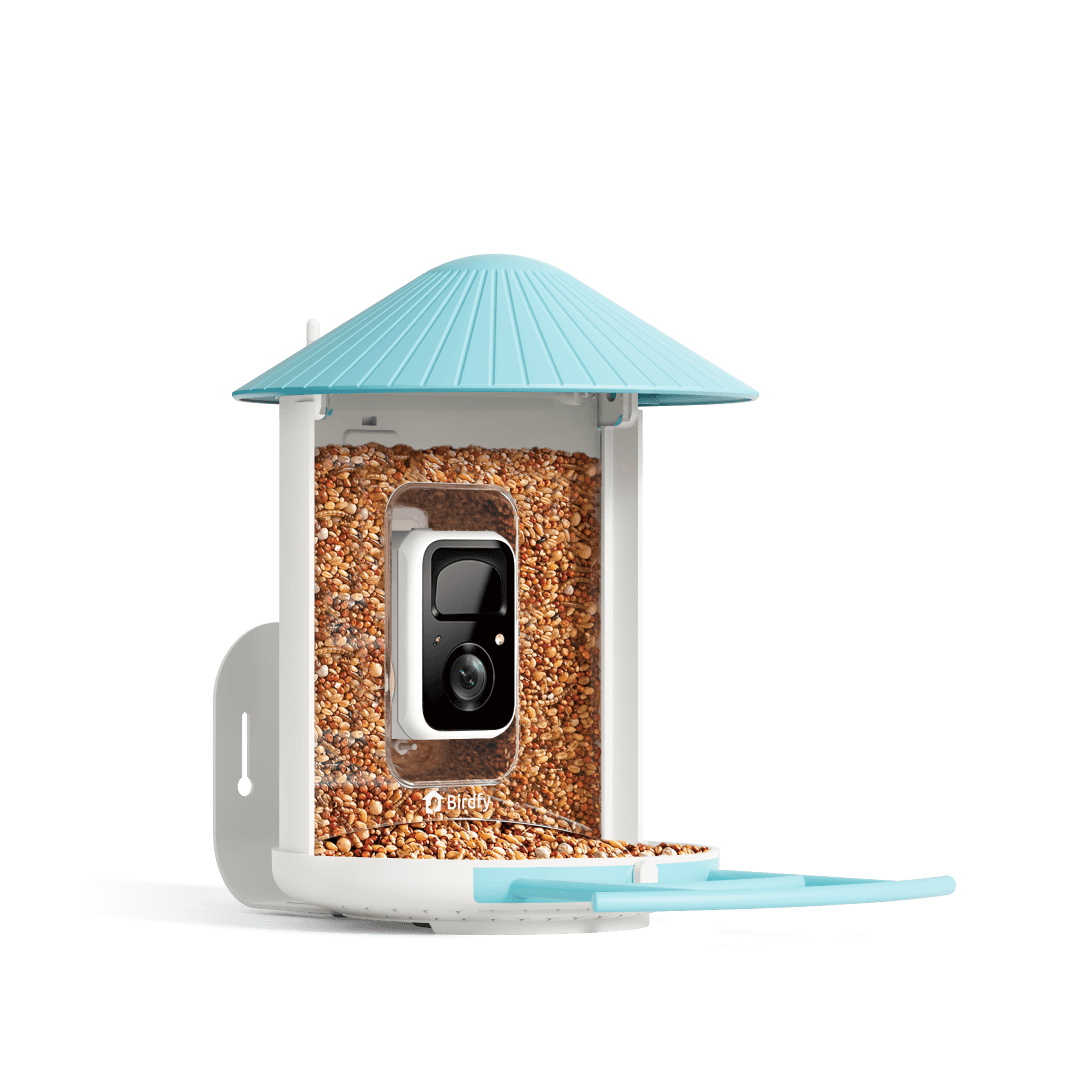 Birdfy Feeder - AI-Powered Smart Bird Feeder with Camera - Blessings Grow Meadows -