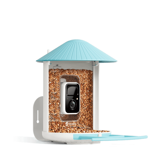 Birdfy Feeder - AI-Powered Smart Bird Feeder with Camera - Blessings Grow Meadows -