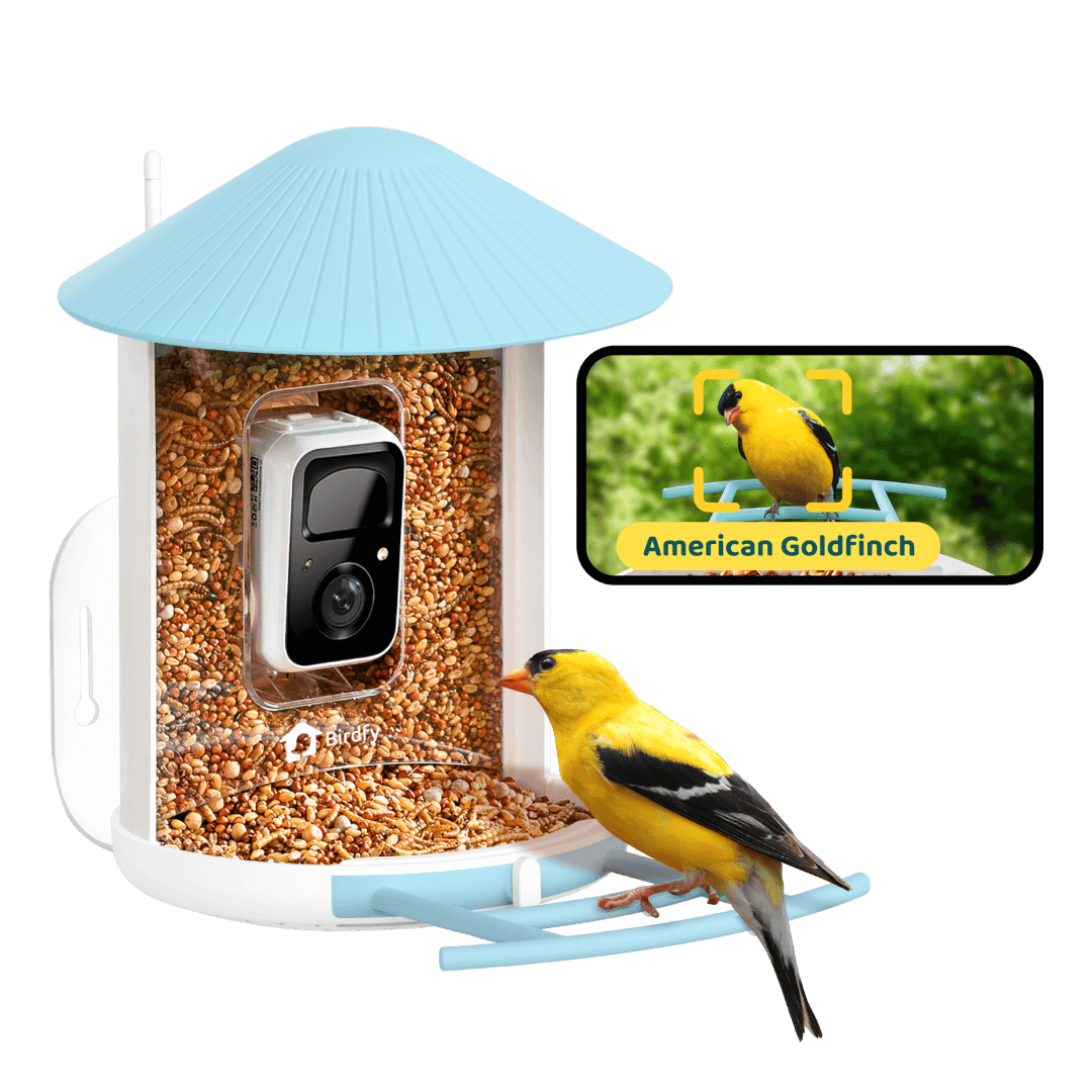 Birdfy Feeder - AI-Powered Smart Bird Feeder with Camera - Blessings Grow Meadows -