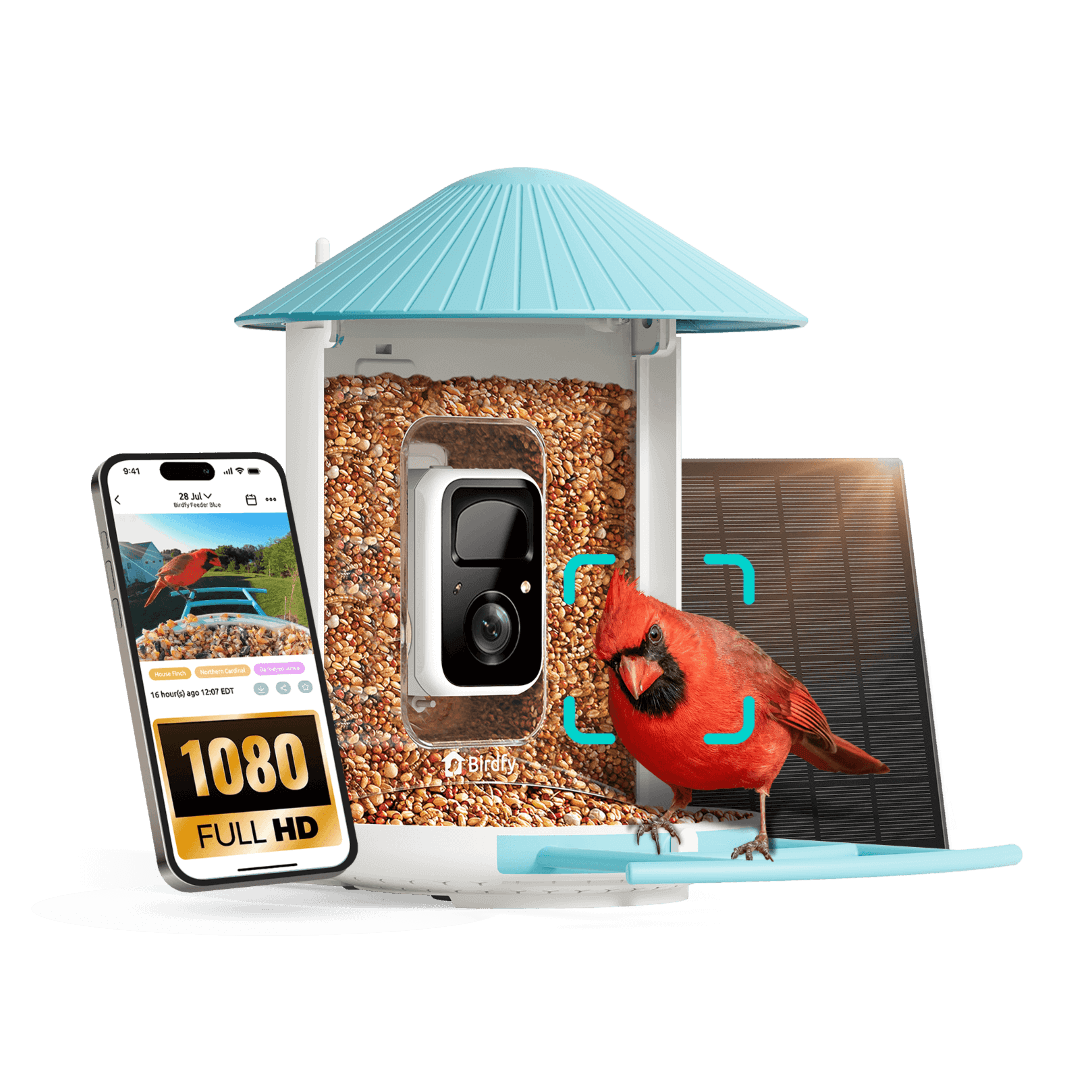 Birdfy Feeder - AI-Powered Smart Bird Feeder with Camera - Blessings Grow Meadows -