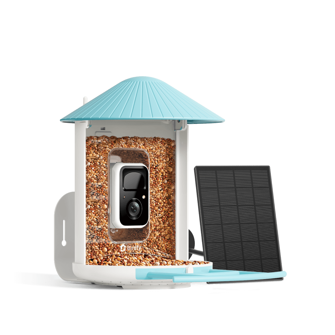 Birdfy Feeder with Solar Panel - Solar-Powered Smart Bird Feeder with Camera - Blessings Grow Meadows -