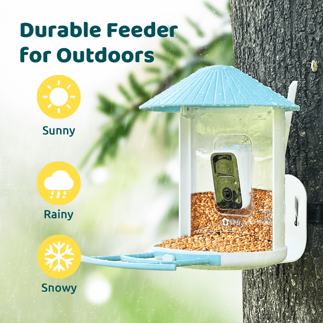 Birdfy Feeder with Solar Panel - Solar-Powered Smart Bird Feeder with Camera - Blessings Grow Meadows -