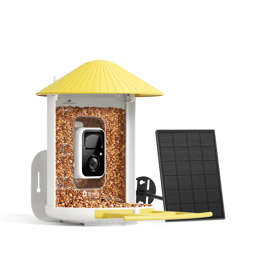 Birdfy Feeder with Solar Panel - Solar-Powered Smart Bird Feeder with Camera - Blessings Grow Meadows -