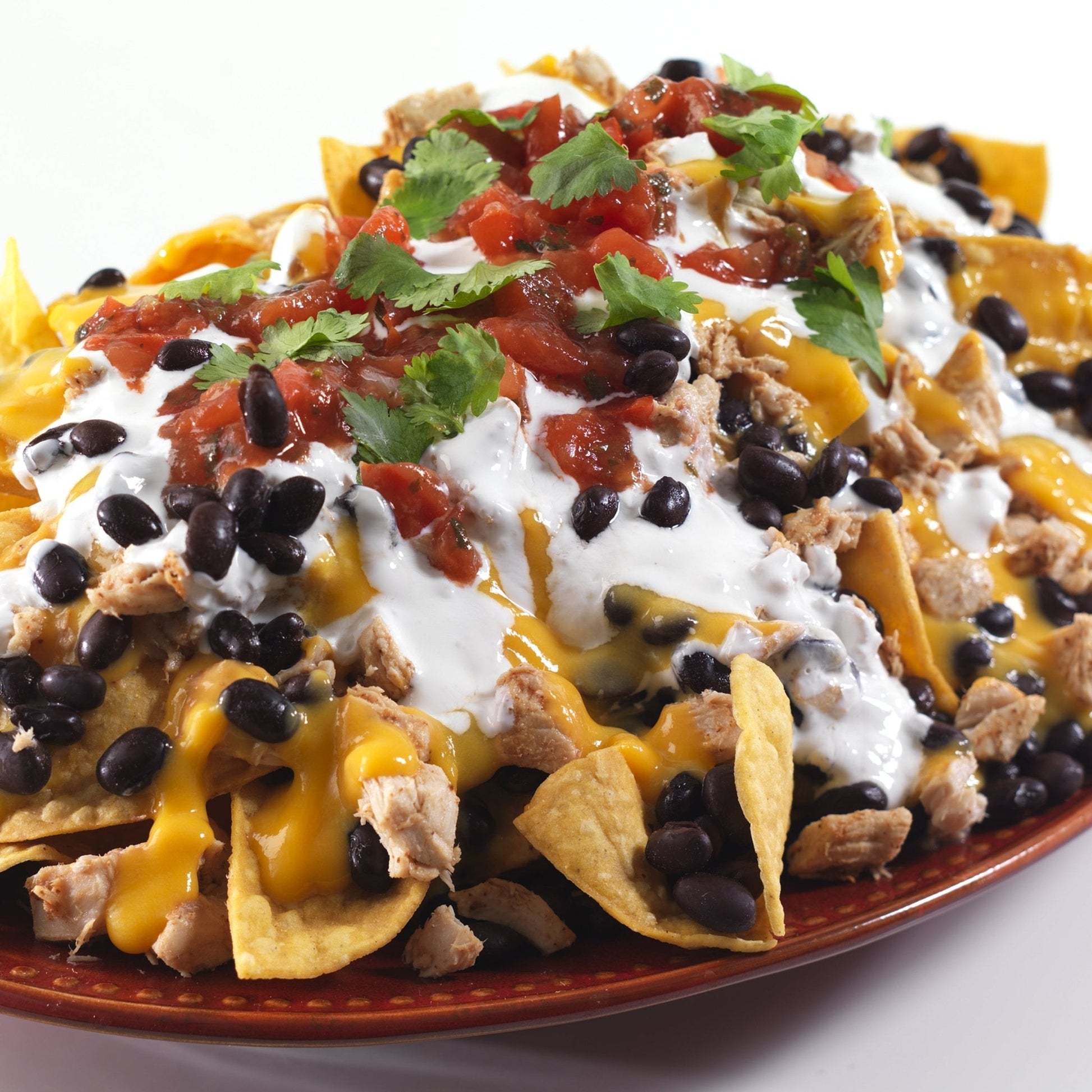 Dried Black Beans 4-Gallon Pail, 237 Servings - Blessings Grow Meadows