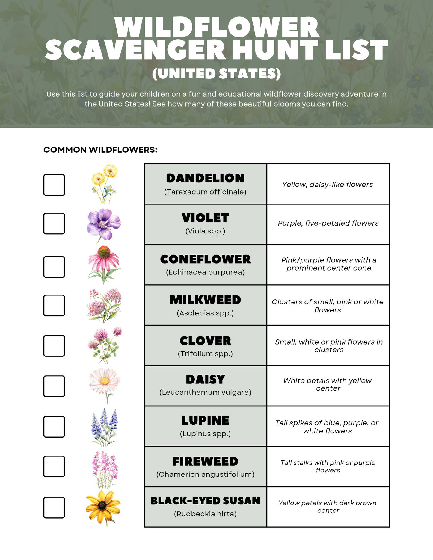 FREE Printable Wildflower Scavenger Hunt - Blessings Grow Meadows -
