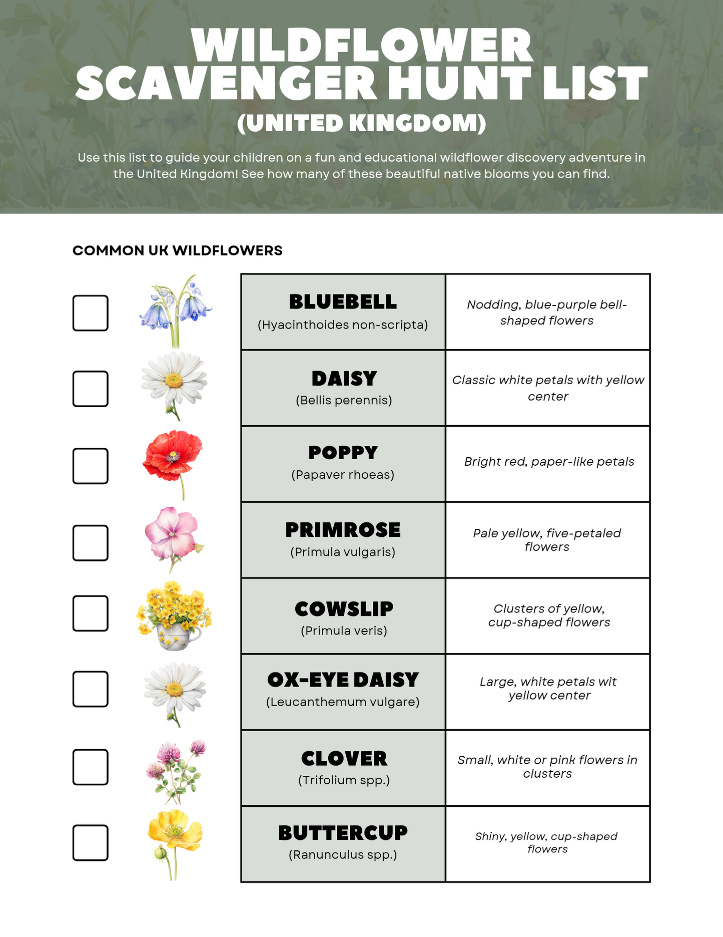 FREE Printable Wildflower Scavenger Hunt - Blessings Grow Meadows -