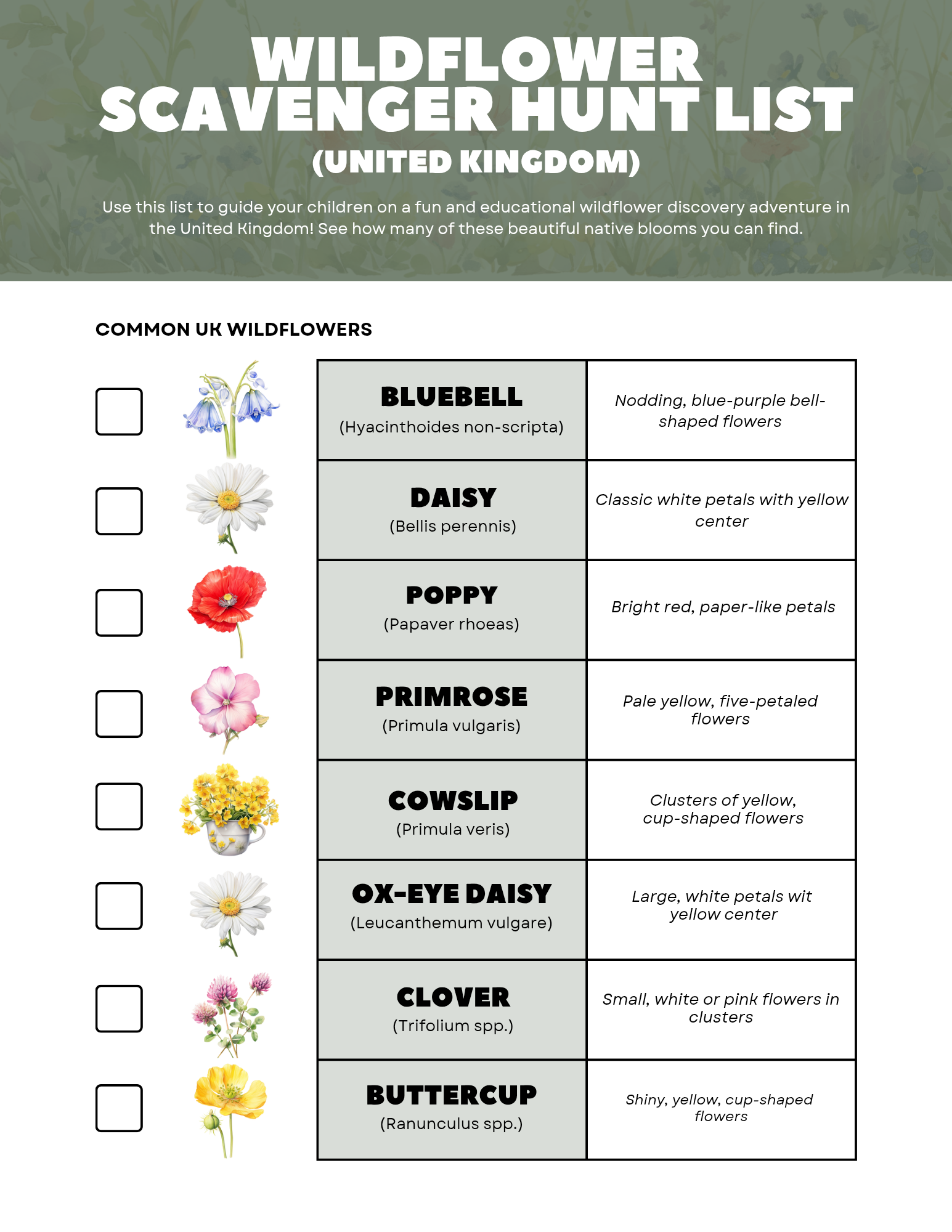 FREE Printable Wildflower Scavenger Hunt - Blessings Grow Meadows -