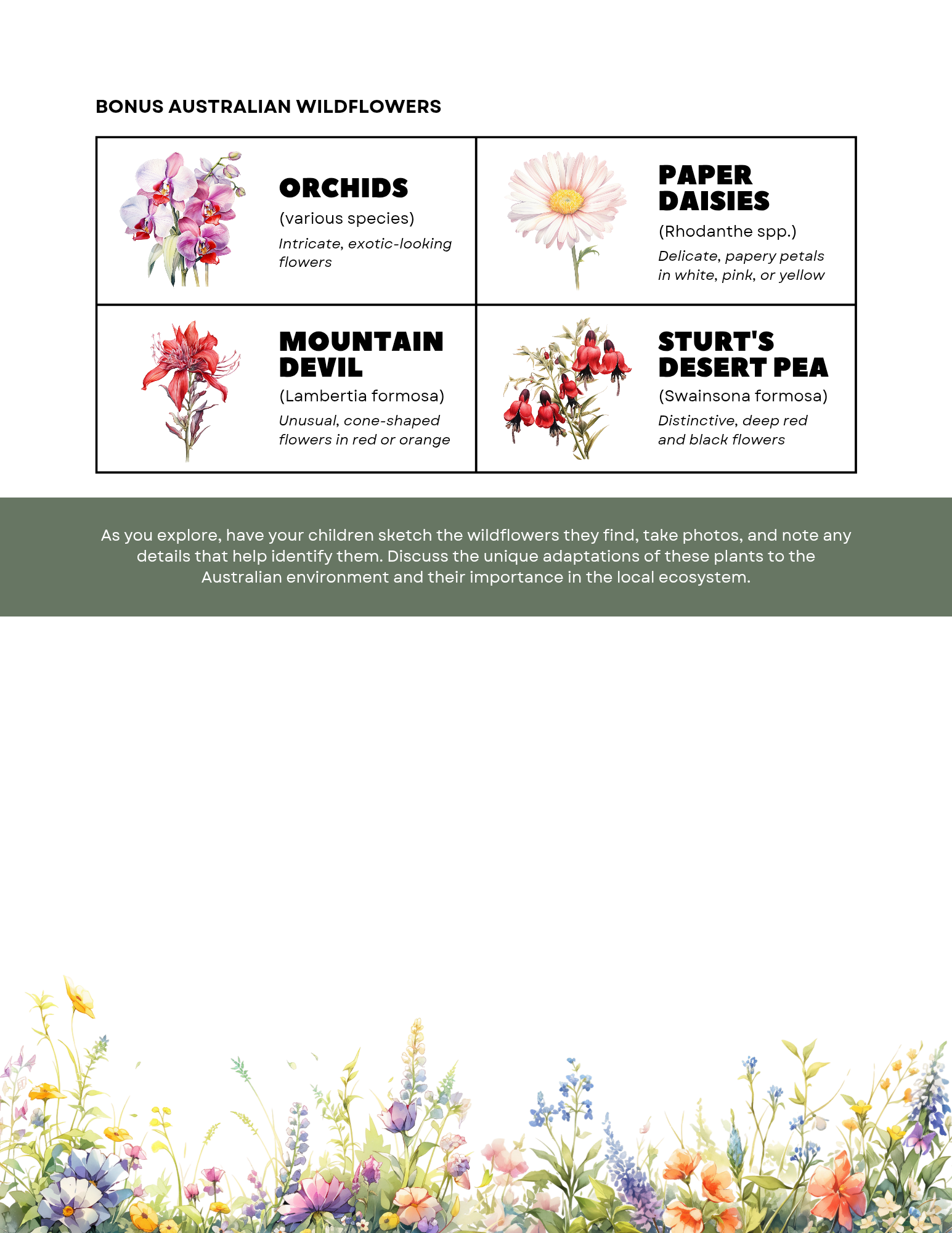 FREE Printable Wildflower Scavenger Hunt - Blessings Grow Meadows -