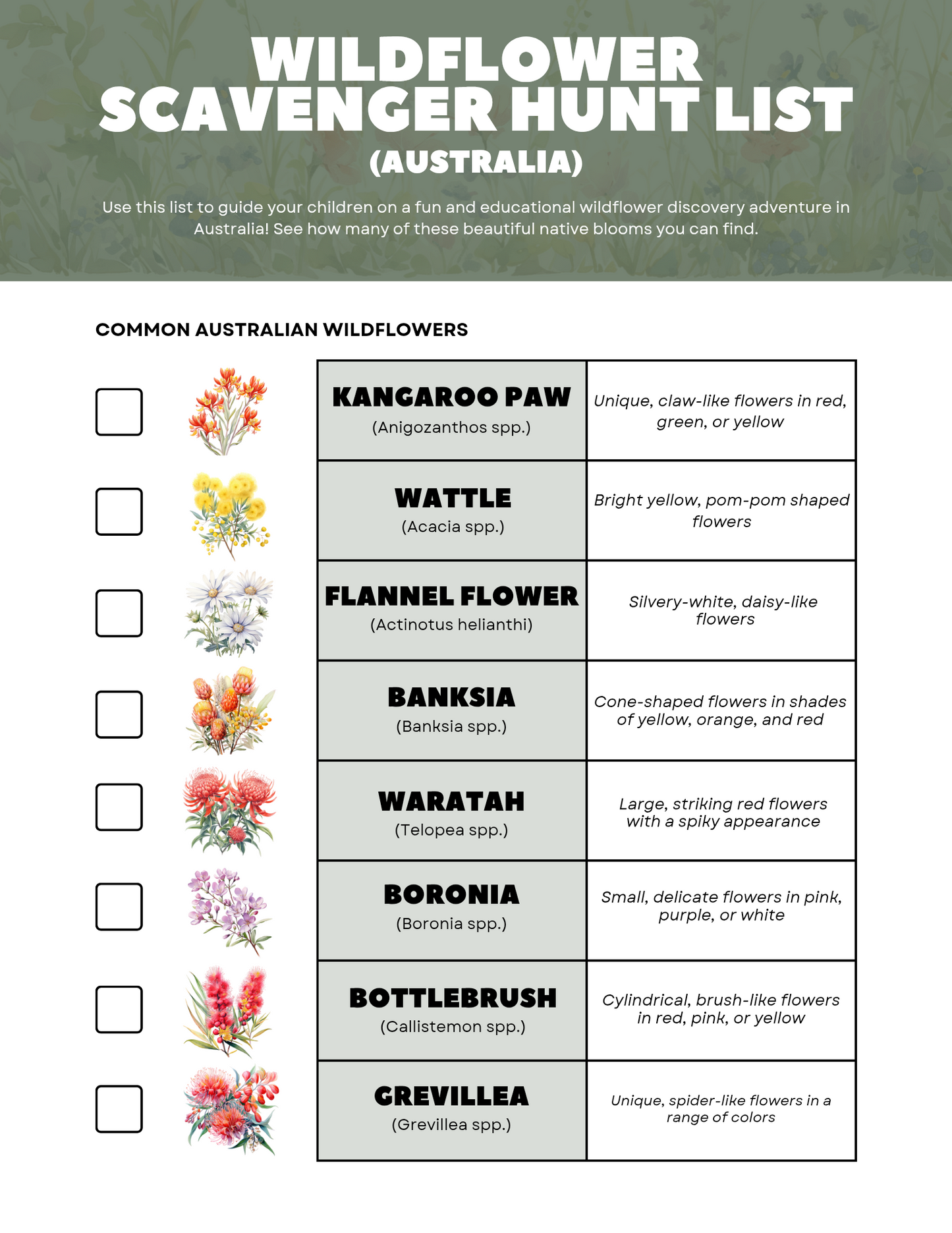FREE Printable Wildflower Scavenger Hunt - Blessings Grow Meadows -