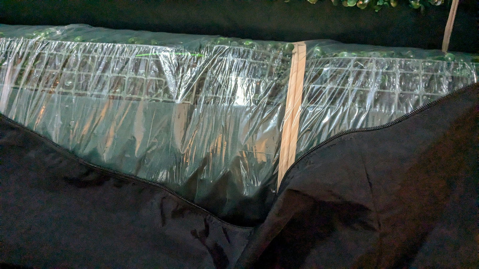 Photograph of a plastic-wrapped artificial green wall in a black carrying bag showing wooden supports and vibrant green foliage details
