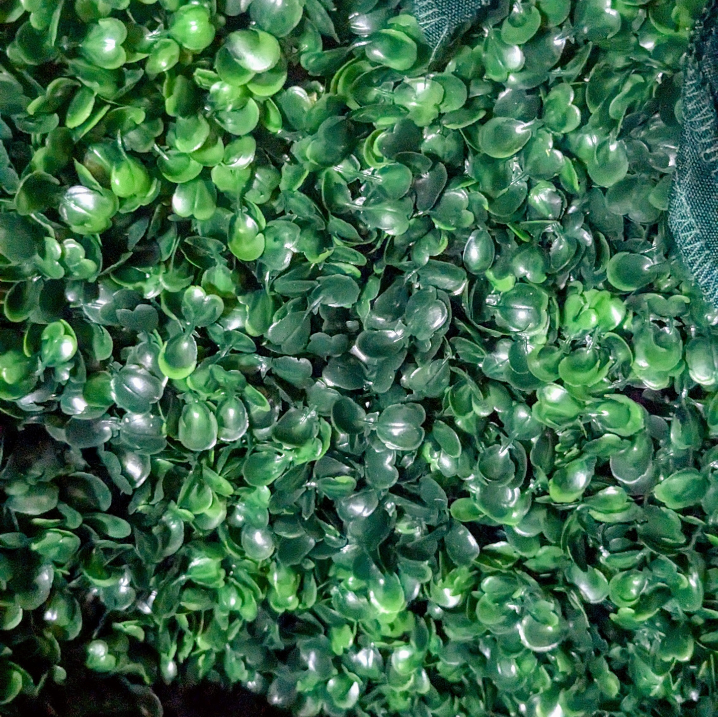 Artificial hedge of dark green plastic leaves showing glossy highlights and subtle variations in color and shape.
