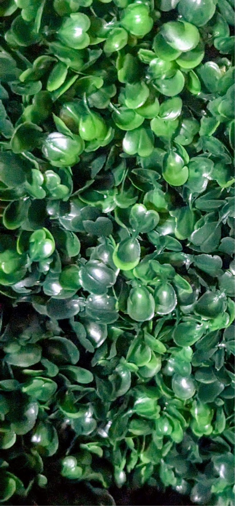 Artificial plant, unknown artist, close-up of lush green leaves showing varying shades and glossy textures, creating a dense, vibrant artificial topiary
