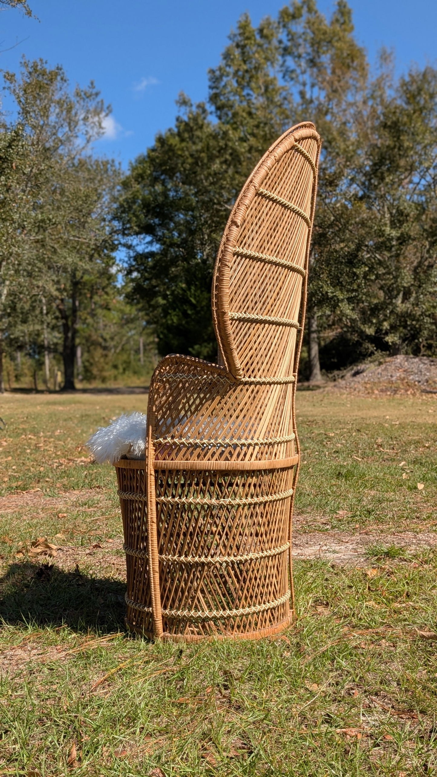 Wicker peacock chair outdoors in a grassy field with tall trees and a fluffy white cushion showcasing its intricate woven pattern and light beige coloring
