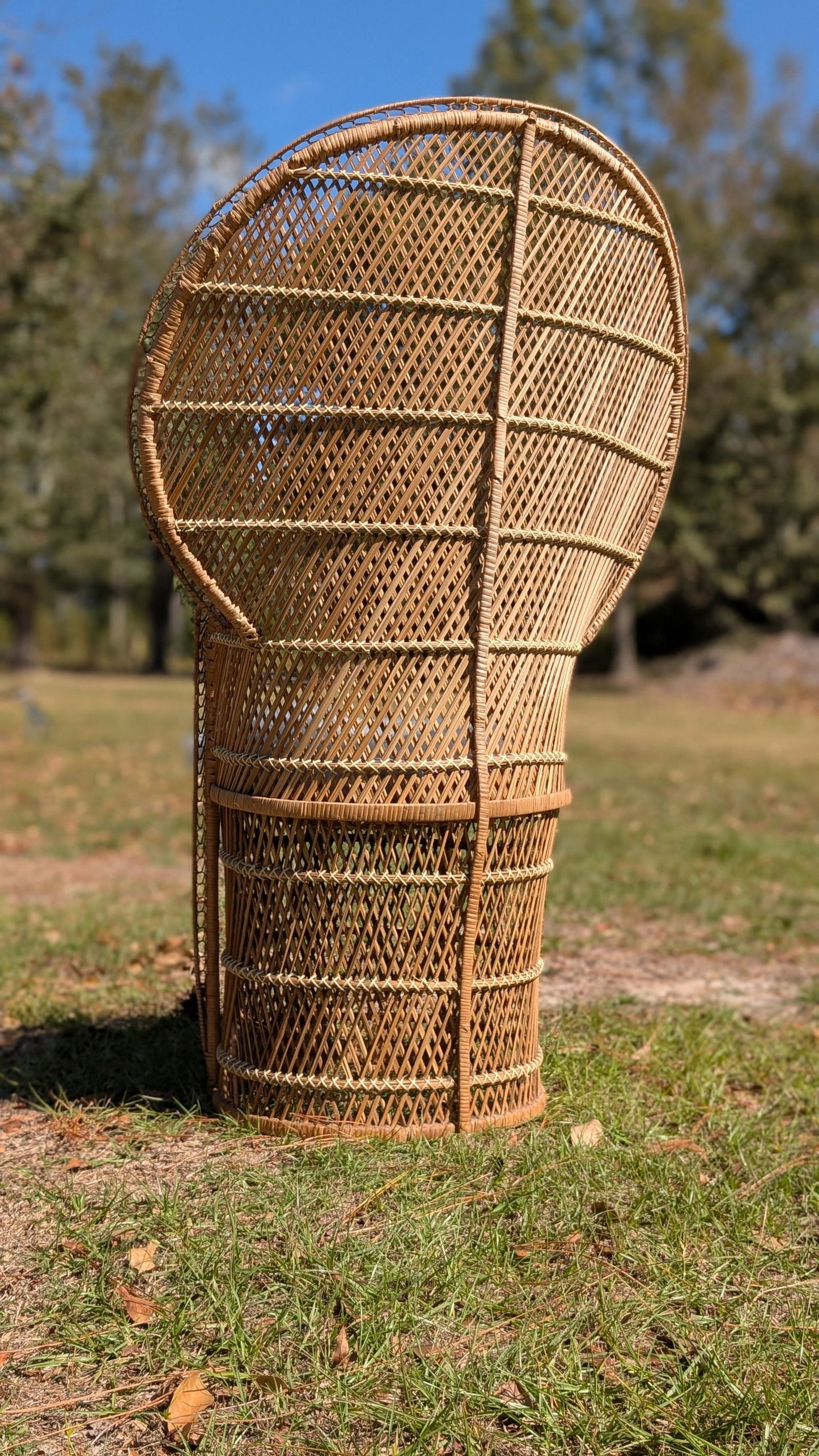 Wicker peacock chair outdoors showing intricate woven pattern and light beige coloring set against a grassy backdrop with autumn leaves.
