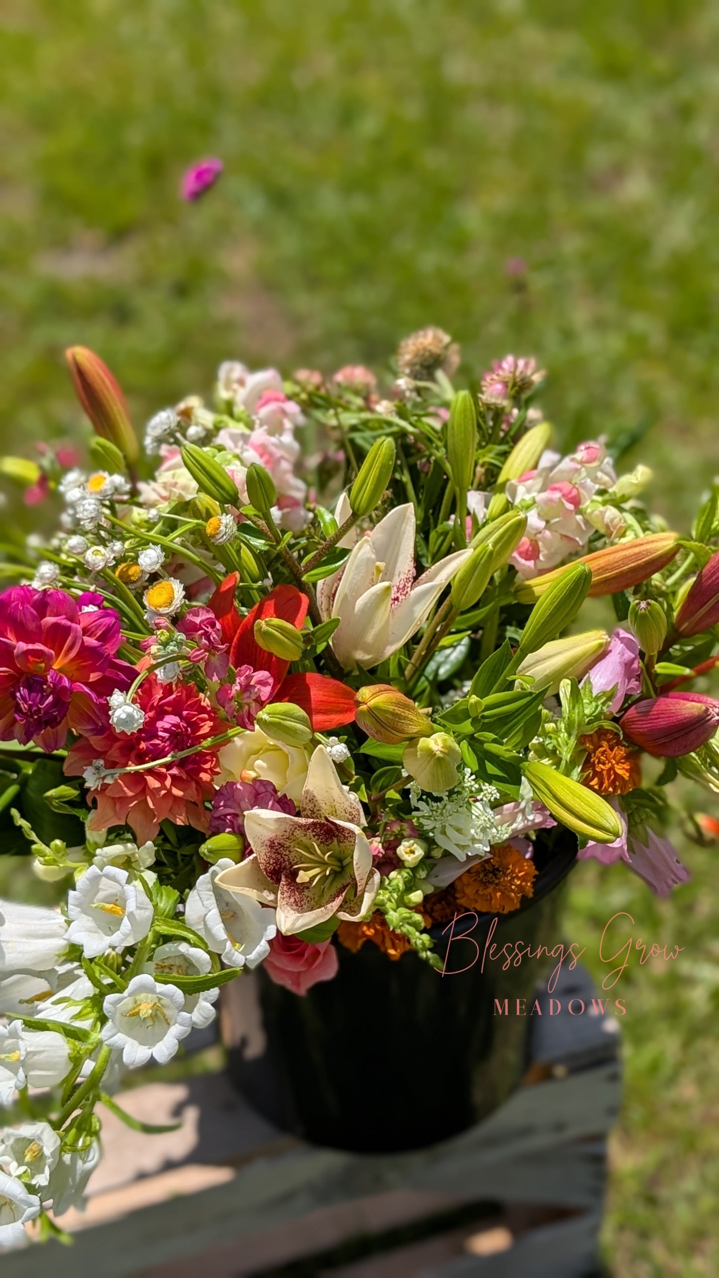 DIY Event Flowers + Bulk Fresh Cut Bulk Greenery: Bloom Buckets (Metter, GA Pick-Up) - Blessings Grow Meadows