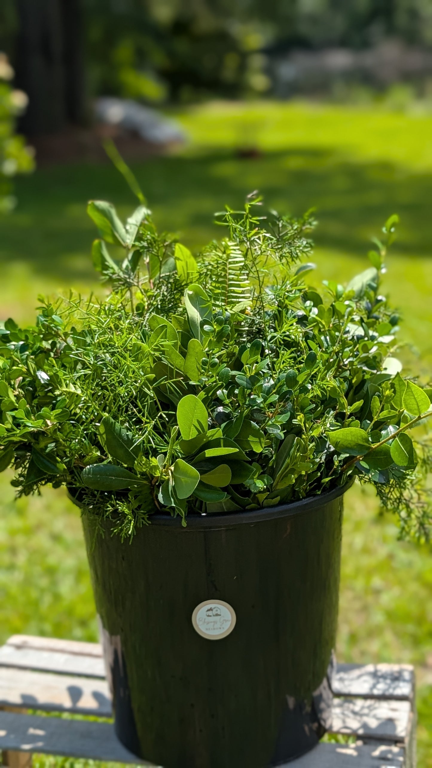 DIY Event Flowers + Bulk Fresh Cut Bulk Greenery: Bloom Buckets (Metter, GA Pick-Up) - Blessings Grow Meadows