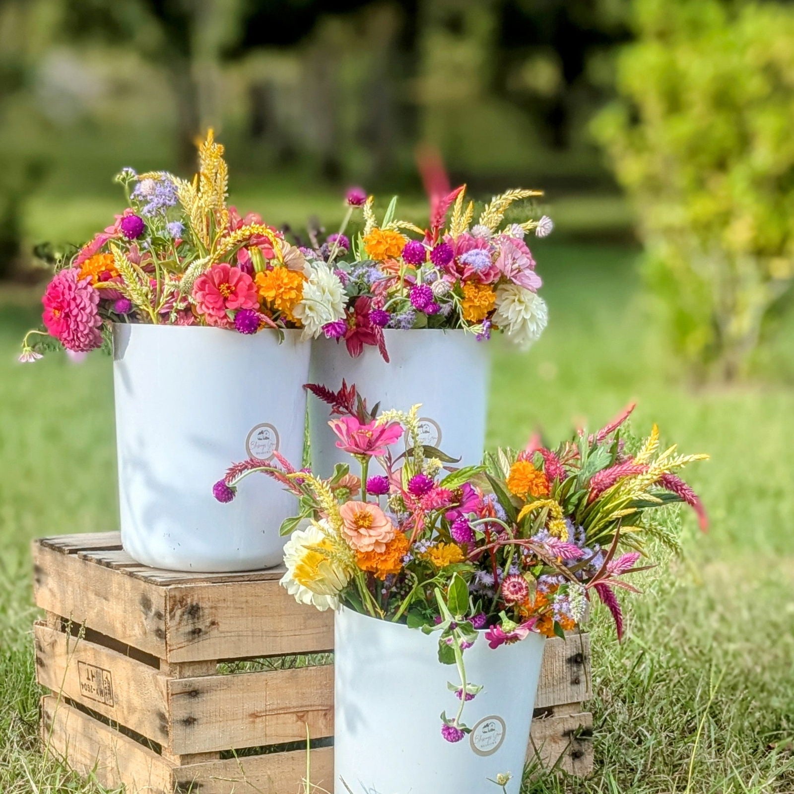 Three buckets of vibrant zinnias, marigolds, and globe amaranth arranged outdoors on a rustic wooden crate with yellow and pink blooms in the foreground
