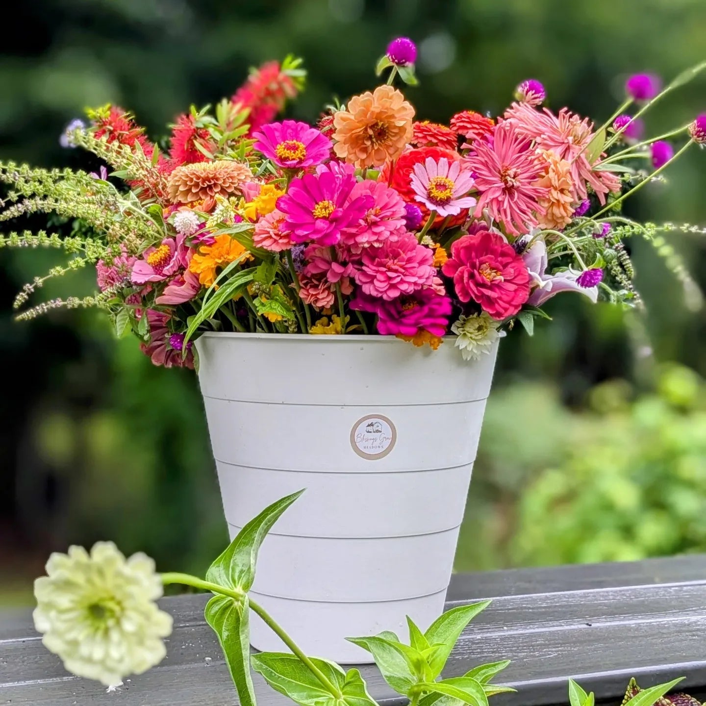 A Blessings Grown flowers arrangement featuring vibrant pink, orange, and yellow zinnias, globe amaranth, and other blooms in a white bucket outdoors
