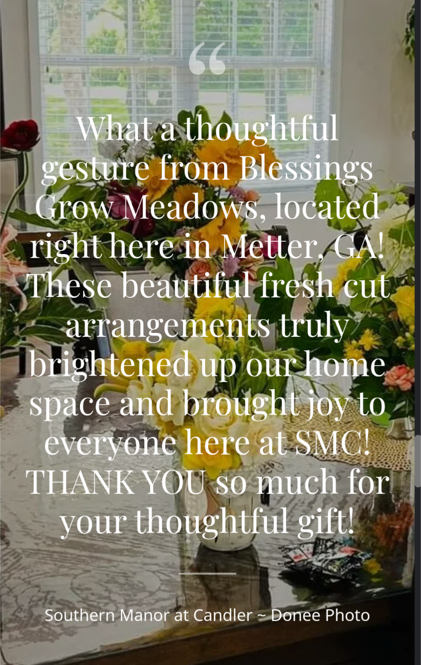 Photography by Donee, featuring a vibrant floral arrangement from Blessings Grow Meadows in Metter, Georgia, showcased on a glass-topped table near a window with white blinds and reflecting sunny yellow and red flowers
