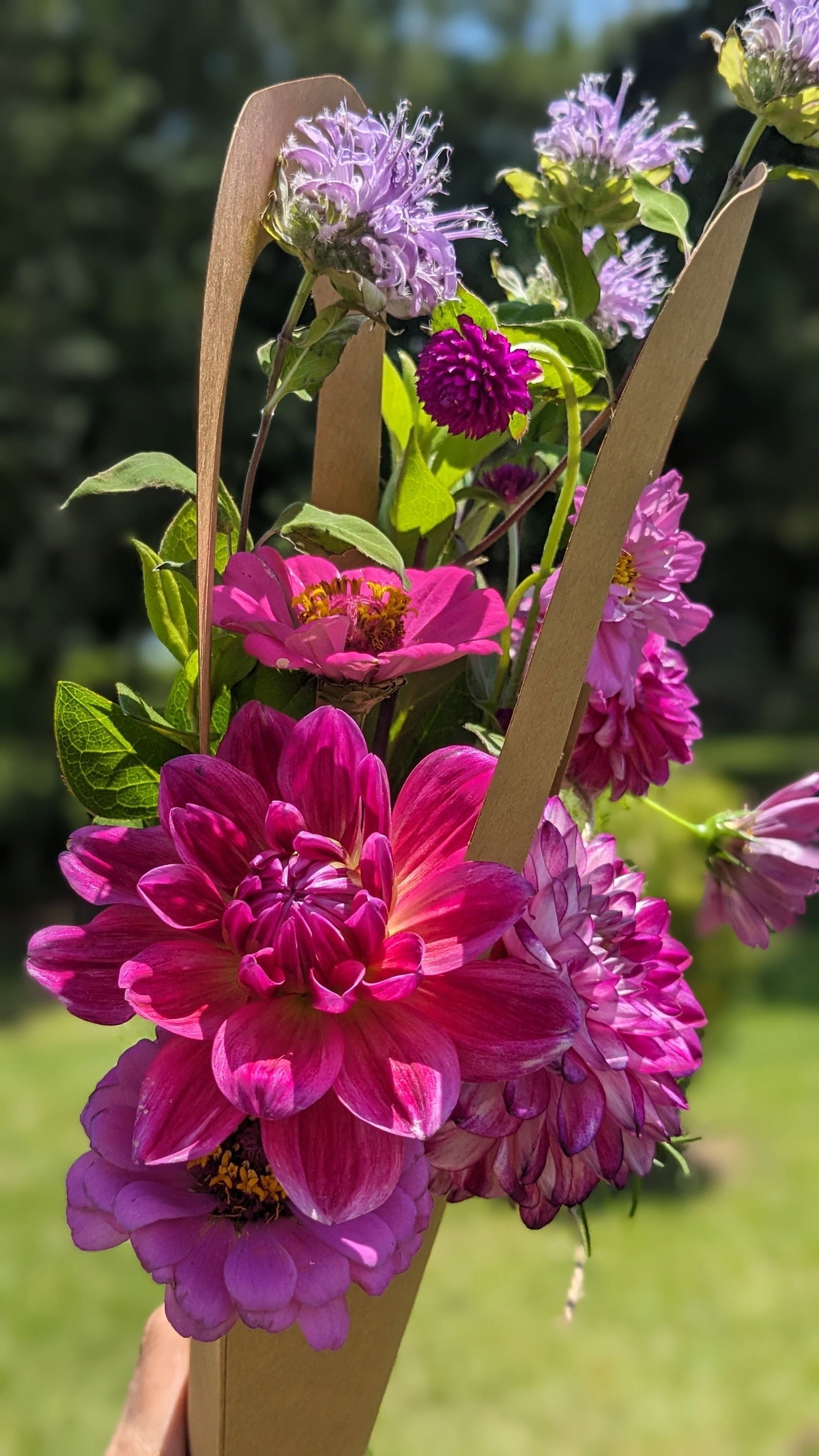 Photograph of a vibrant bouquet featuring a fuchsia dahlia, purple zinnias, and bee balm held in a rustic paper cone outdoors with a bright green background
