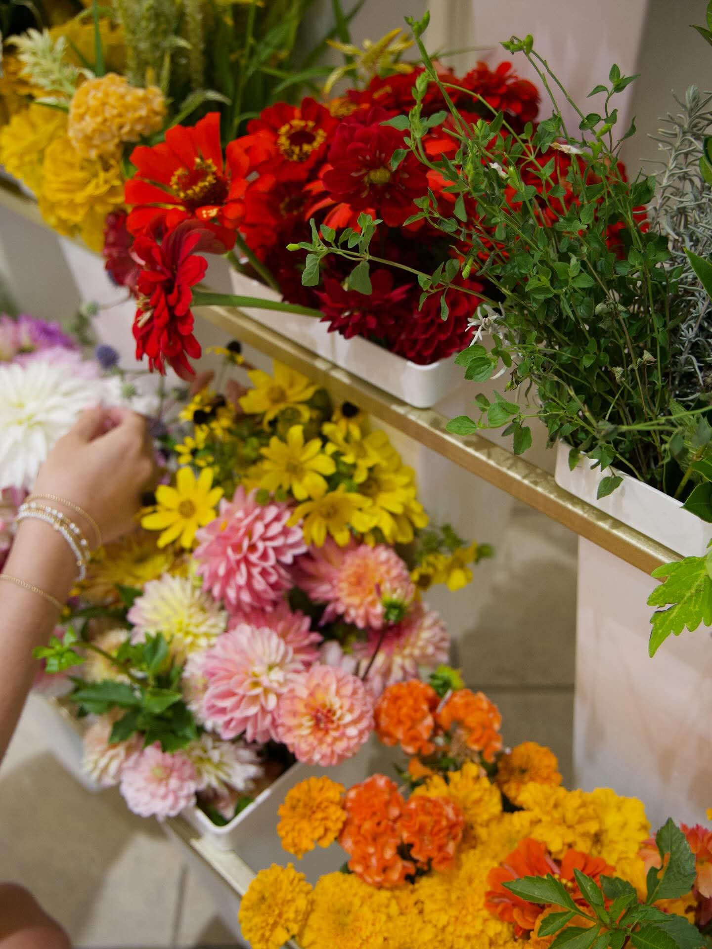 Blooms 4 Good Donations & Bloom Bar Fundraisers (Metter, GA Pick-Up) - Blessings Grow Meadows