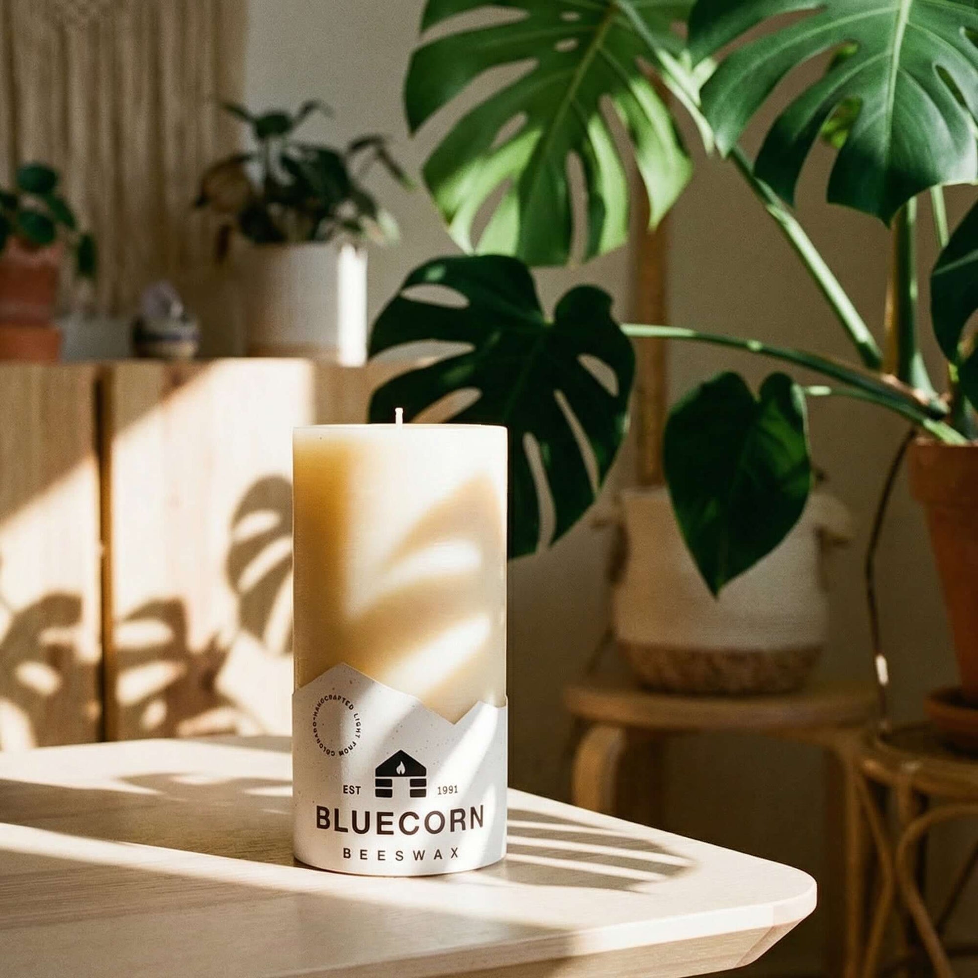 Ivory Bluecorn Candles pure beeswax pillar candles, 3x6 inches, showcasing natural beeswax texture and smooth finish in a modern style.