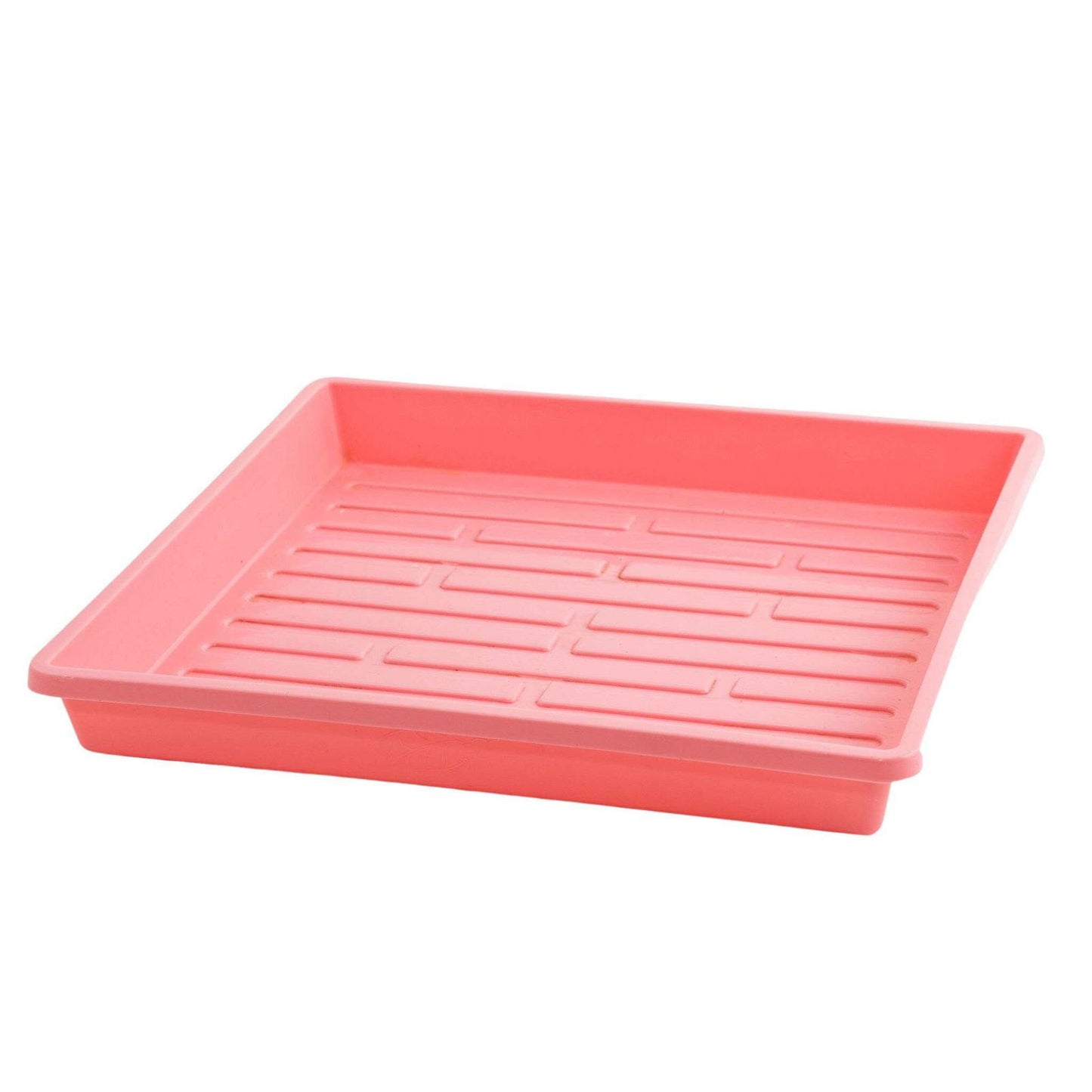 Plastic pink square seed tray with drainage holes and raised textured bottom for aeration
