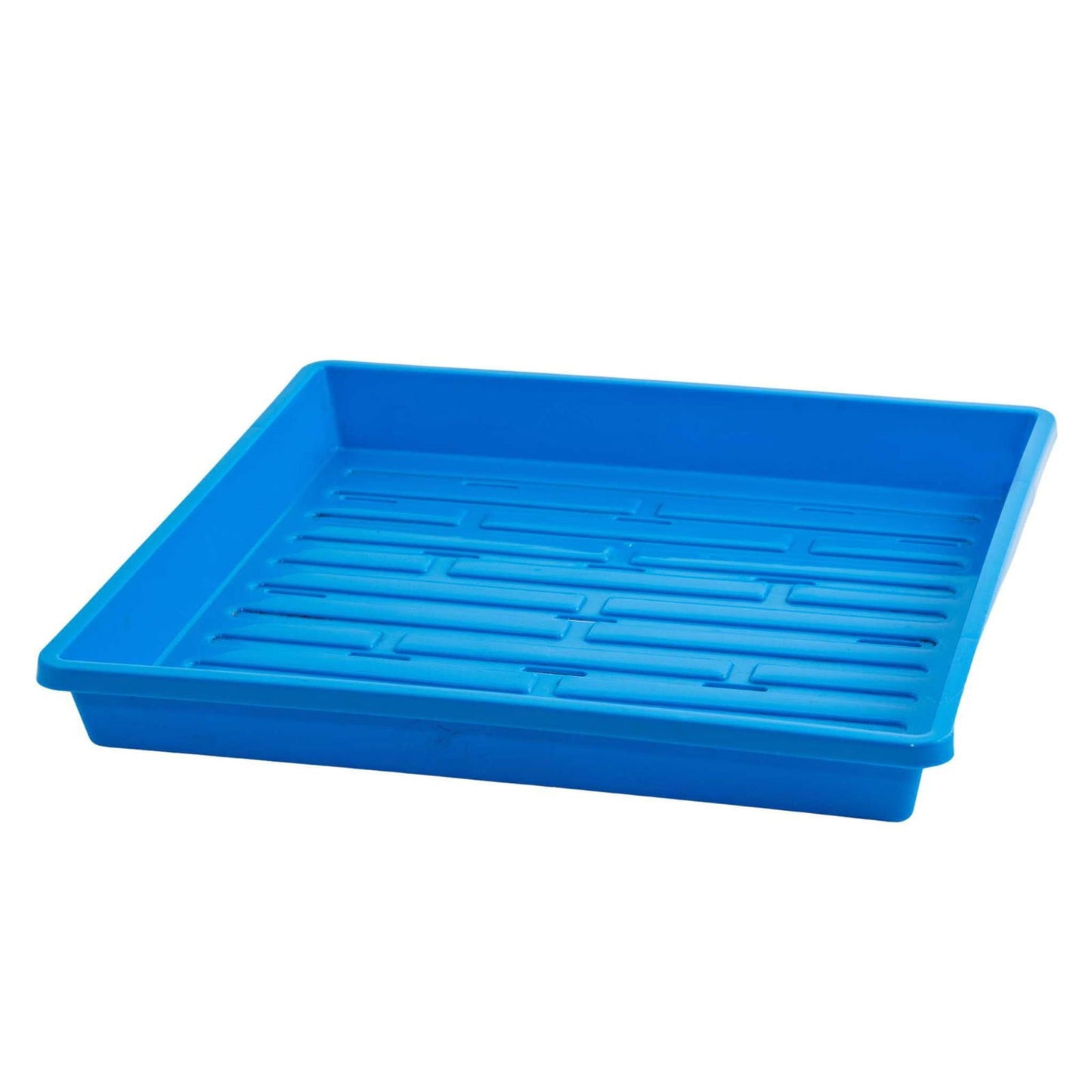 Plastic seedling tray vibrant blue color rectangular shape with drainage holes and a raised grid pattern for optimal water flow
