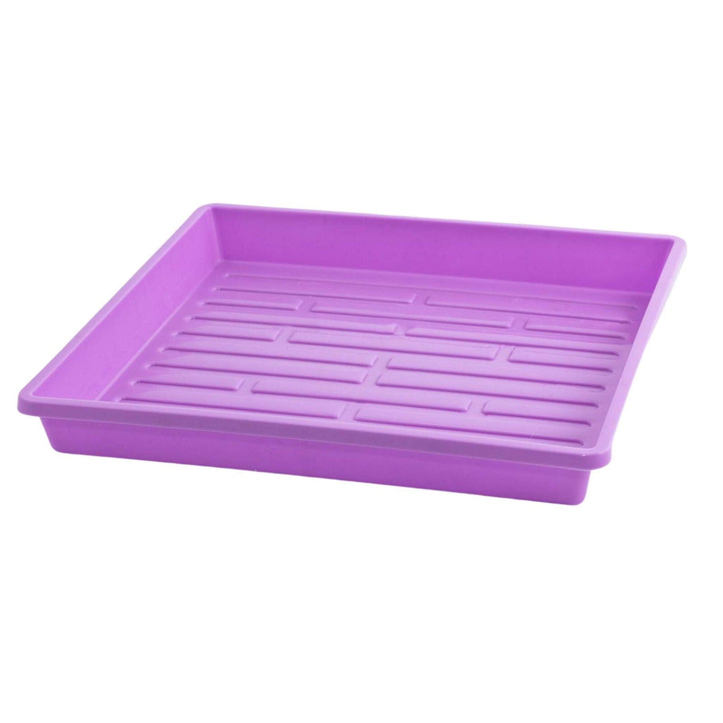 Plastic rectangular tray with a lavender hue and embossed lines showcasing its lightweight and functional design
