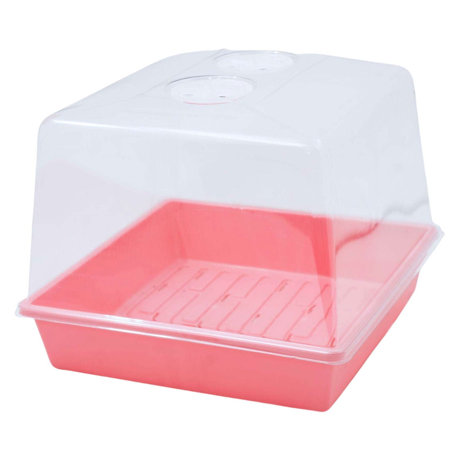 Plastic propagation dome and tray featuring a vibrant pink base, clear plastic cover with ventilation holes, and molded indentations for seedlings.
