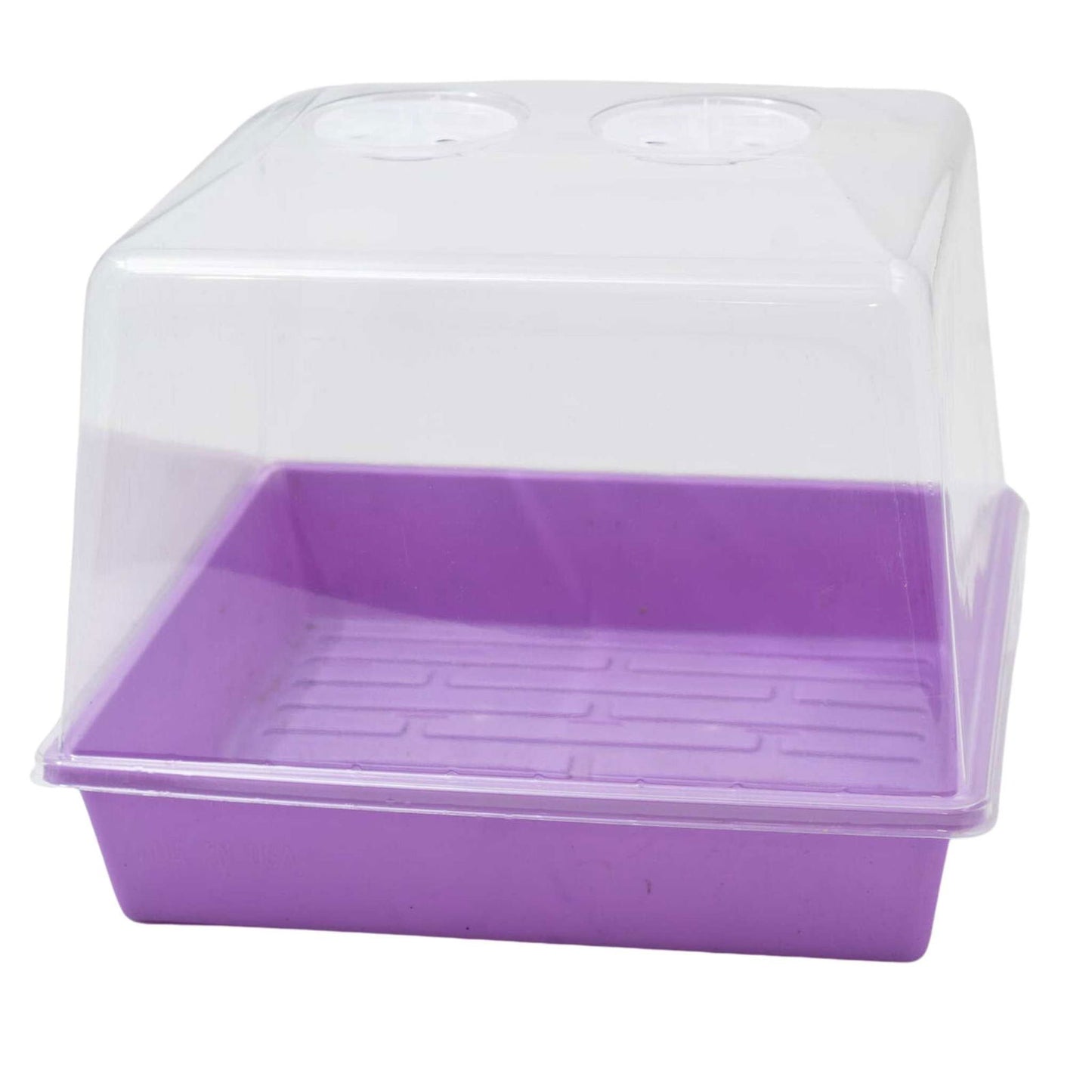 Plastic propagation box with clear lid showing lavender base and textured bottom  two ventilation holes in the lid
