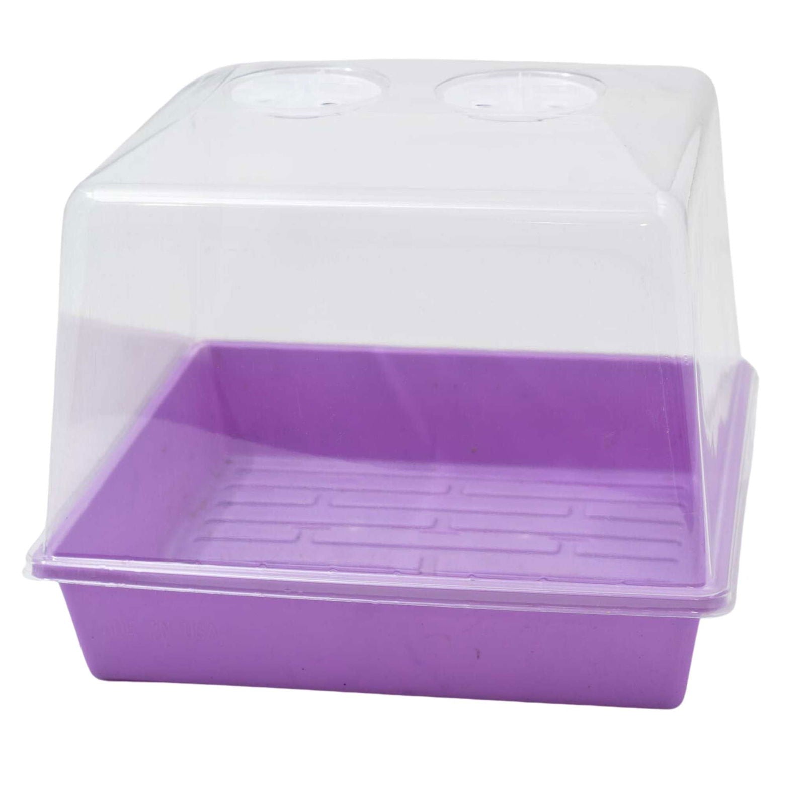 Plastic propagation box with clear lid showing lavender base and textured bottom  two ventilation holes in the lid
