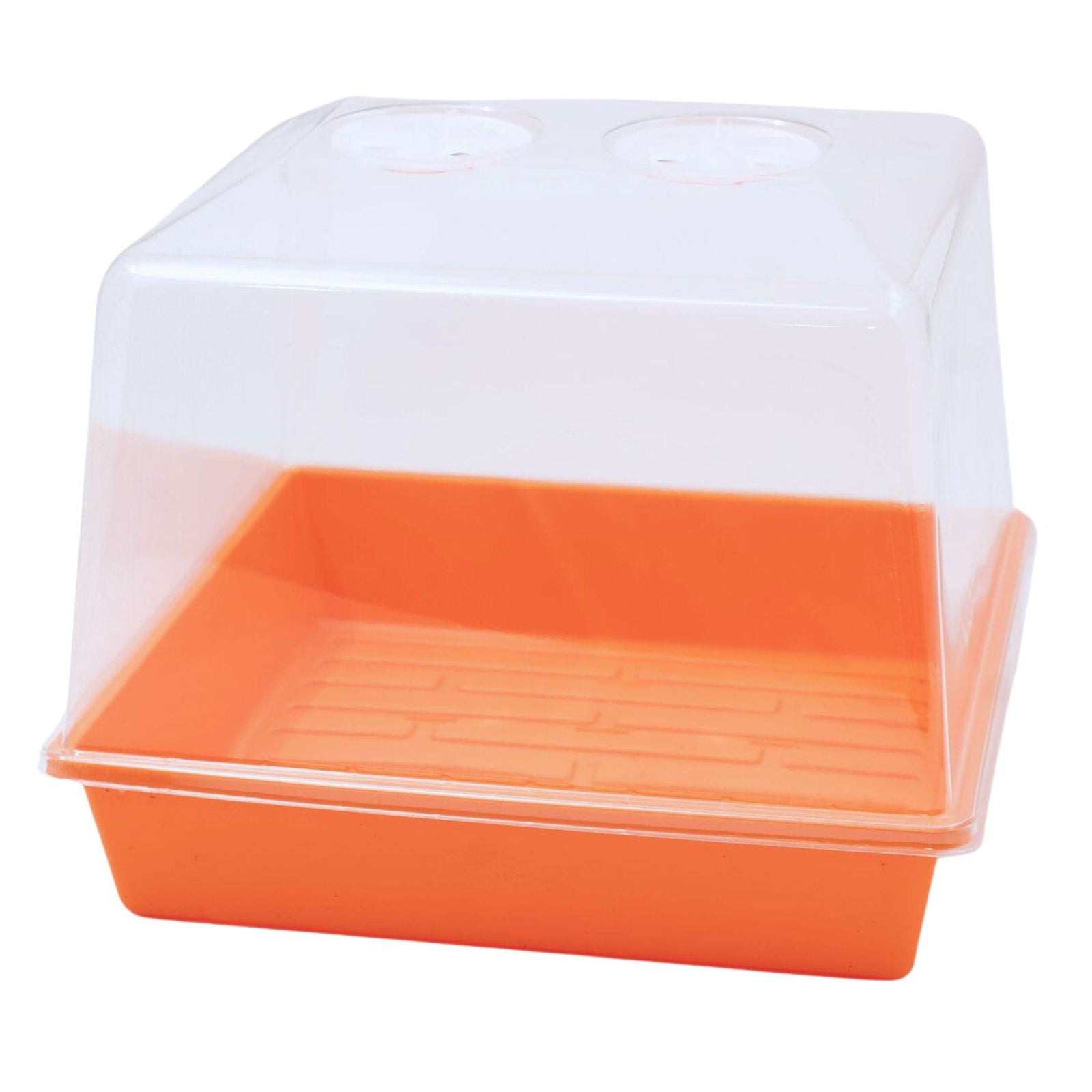 Plastic mini greenhouse with orange base and clear lid showing ventilation holes and a textured bottom
