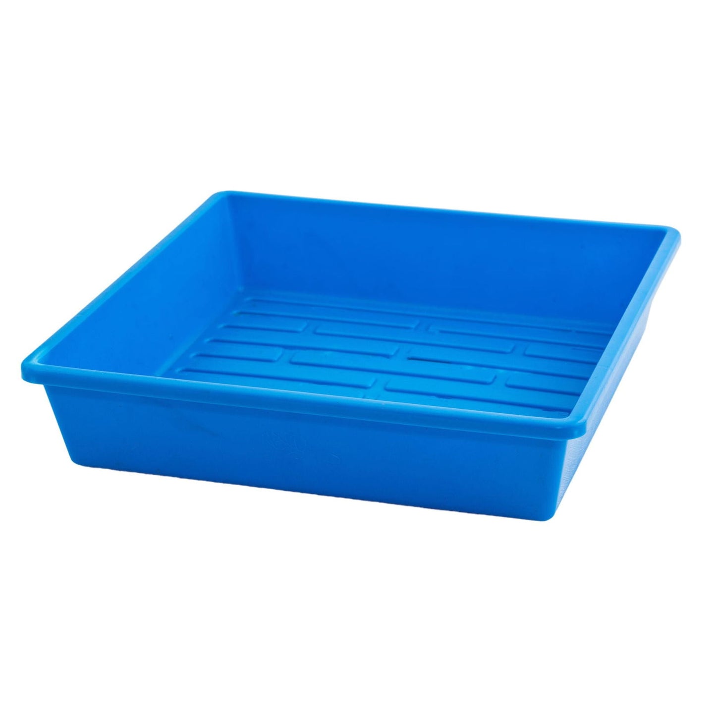 Plastic blue tray with a ridged bottom and slightly raised sides showing vibrant color and smooth texture

