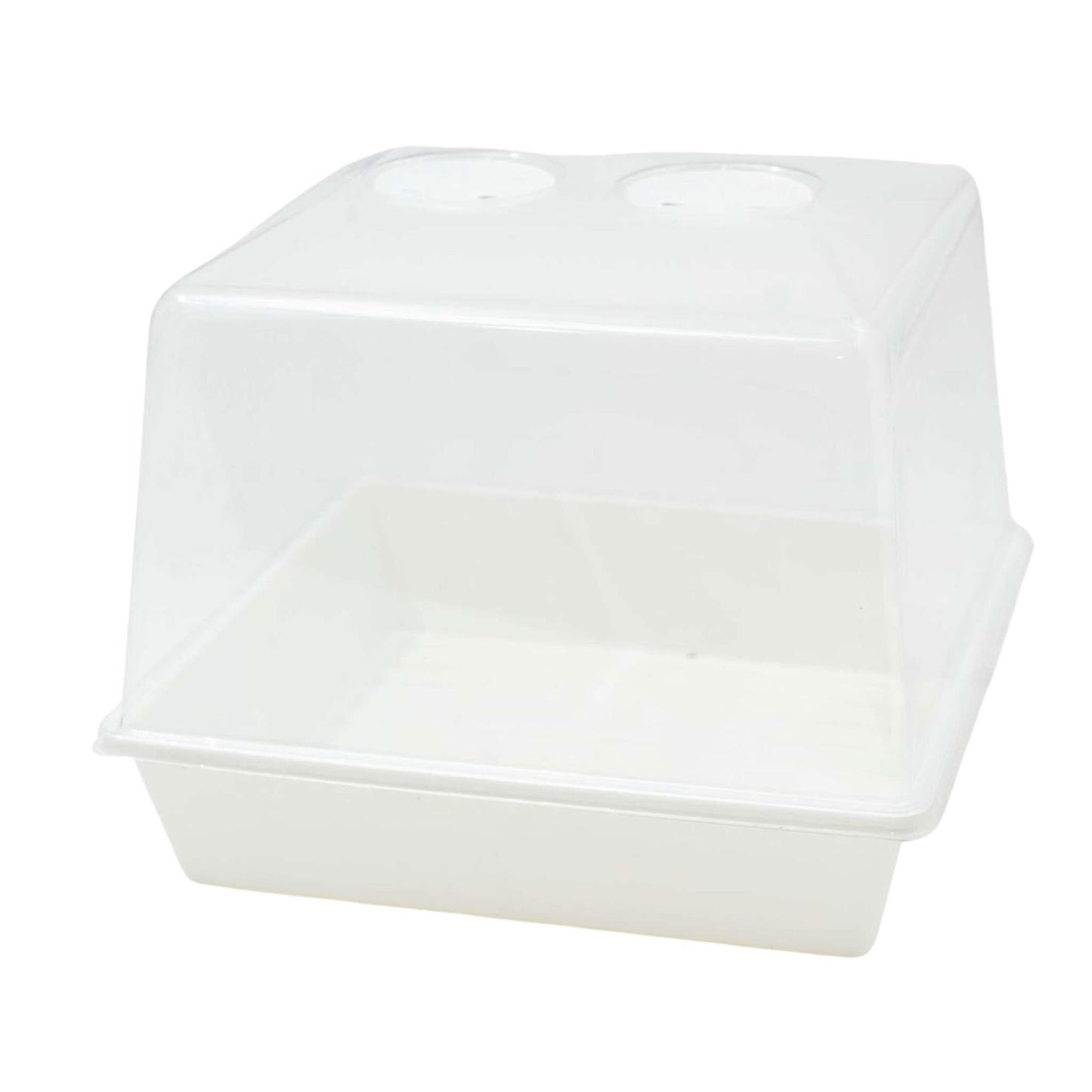Plastic propagation box with clear lid showing two ventilation holes and a white base ideal for seedlings indoors
