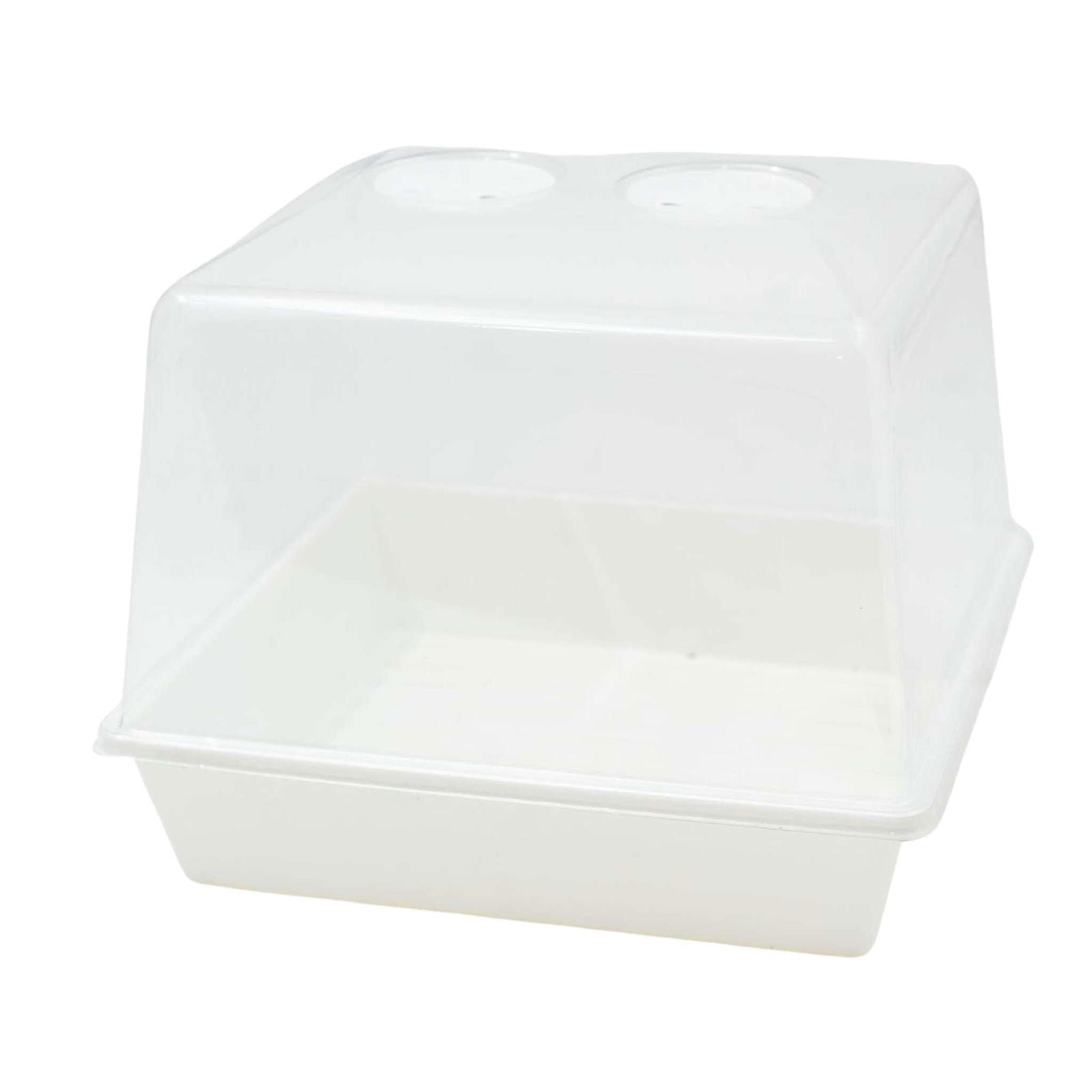 Plastic propagation box with clear lid showing two ventilation holes and a white base ideal for seedlings indoors
