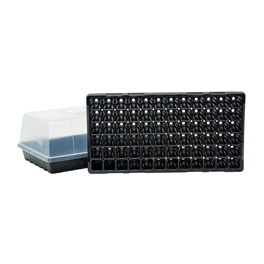 Plastic seedling tray and dome, showing multiple individual seed starter cells, a clear plastic cover, and a black rectangular base with drainage holes
