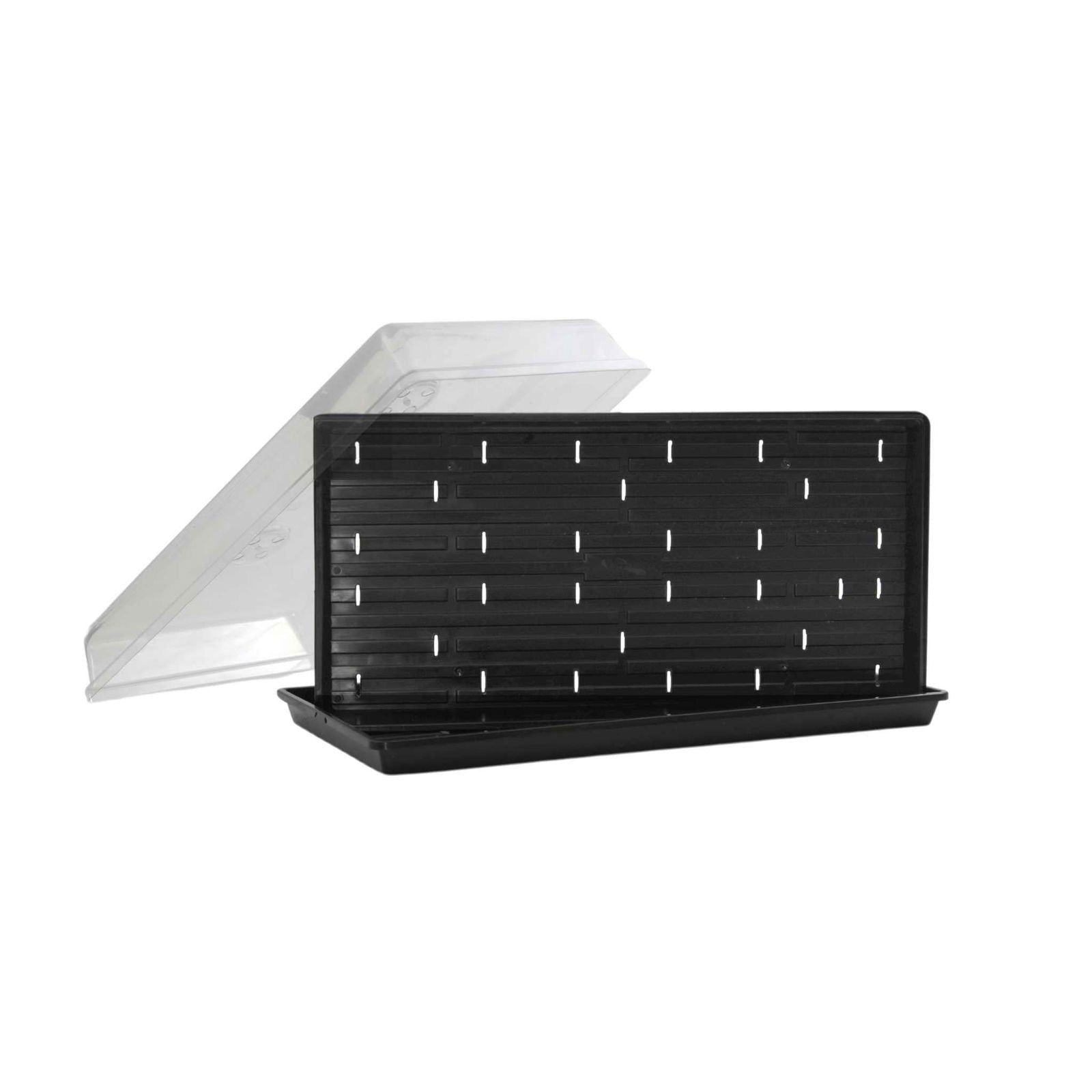 Plastic propagation tray and dome showing a black seed starting tray with drainage holes and a clear plastic cover ideal for indoor gardening.
