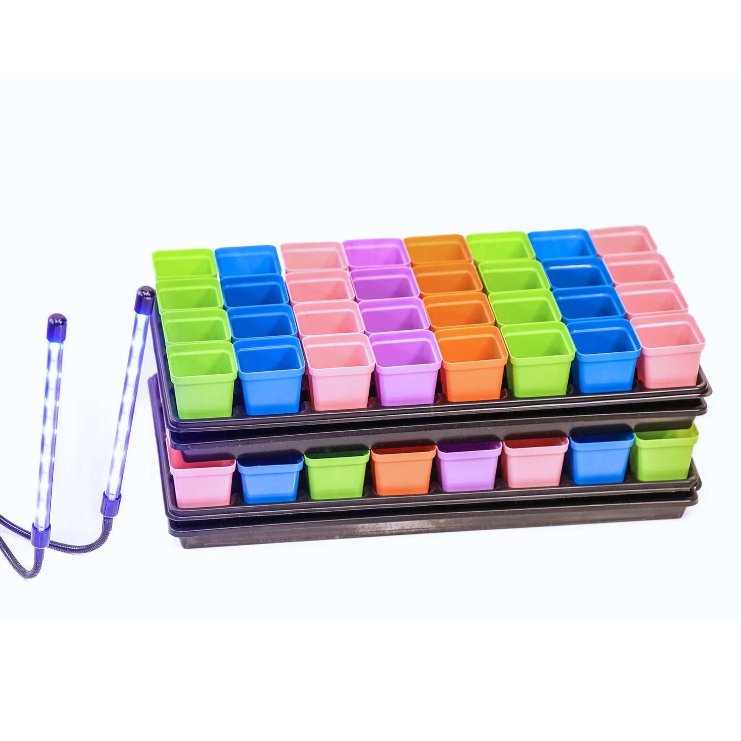 Plastic seedling tray with colorful pots and grow lights showcasing pink, blue, and green hues against a white background
