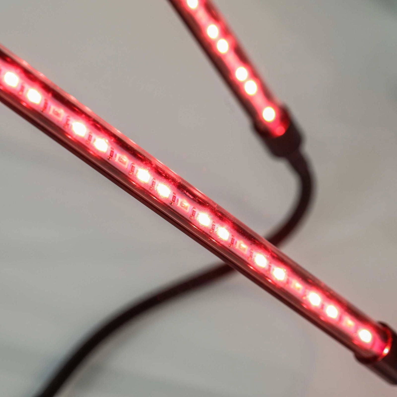 LED light sculpture features two glowing red tubes with bright internal LEDs and a dark cord against a neutral background