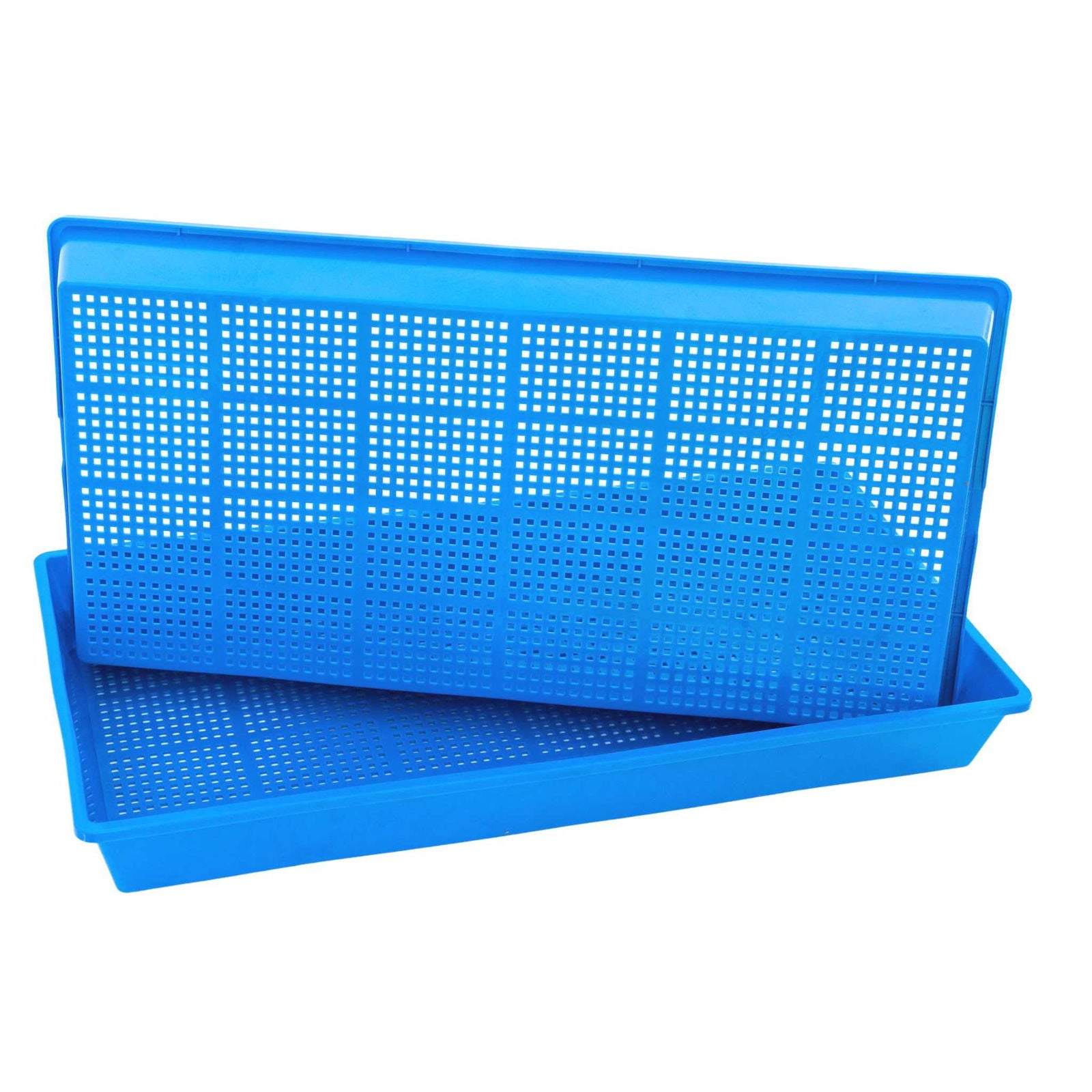 Plastic blue seedling trays with a grid pattern showing vibrant color and a solid base for drainage
