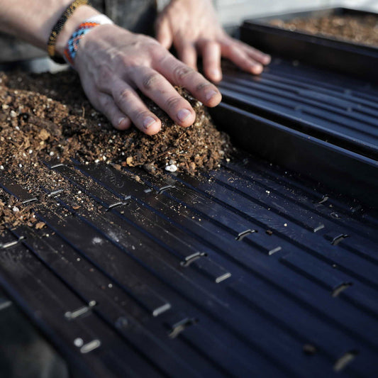 Close-up photograph showing hands placing dark brown soil with visible perlite and vermiculite into a black plastic seed starting tray with uniformly spaced grooves and small latching clips