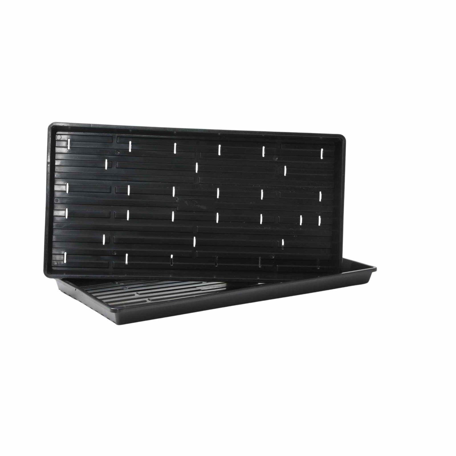 Plastic seedling tray showing a black rectangular design with drainage holes and ribbed texture ideal for starting seeds indoors
