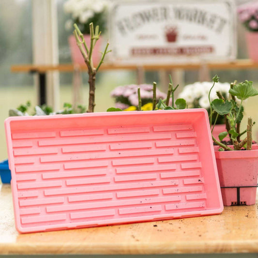 Plastic seedling tray in a greenhouse setting showing various plants including chrysanthemums and geraniums with a pink Flower Market sign in the background and featuring a pale pink color scheme and textured tray surface
