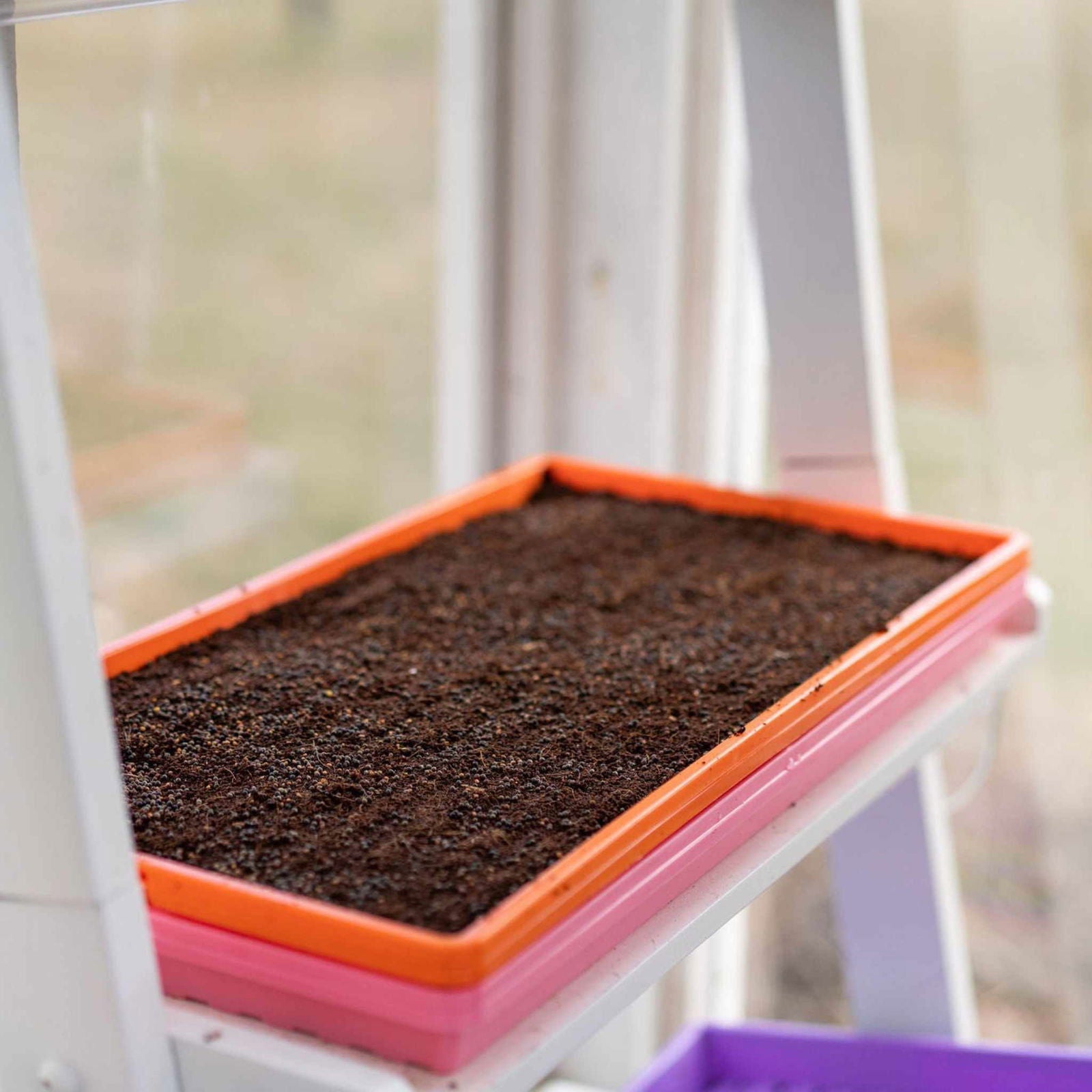 Bootstrap Farmer 1020 Microgreen Trays in green, shallow, extra strength, no-holes for indoor or outdoor planting.