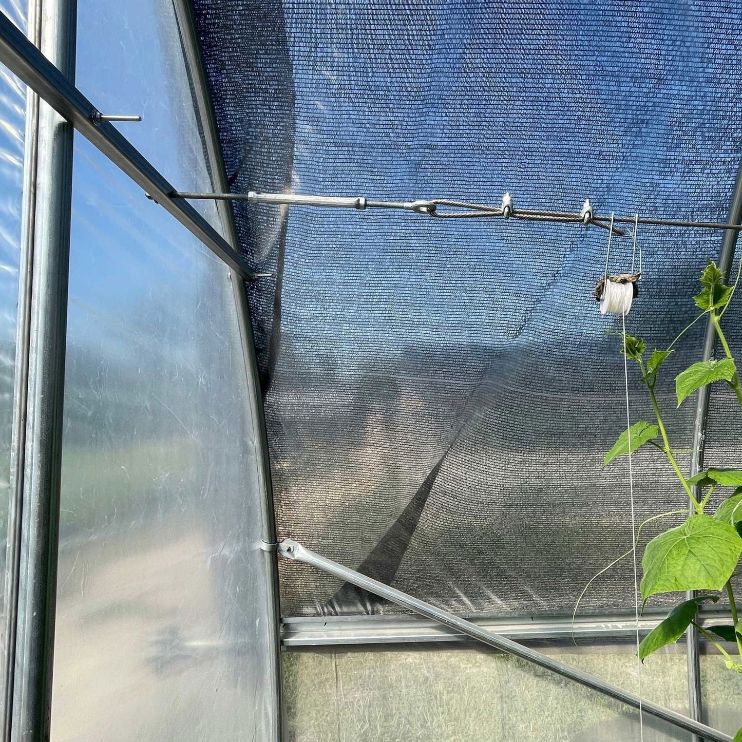 Inside a hoop house, sunlight streams through semi-transparent plastic walls and mesh shade. Metal support bars, including the Bootstrap Farmer Horizontal Bar Kit, span the frame as a vine climbs a string on the right.